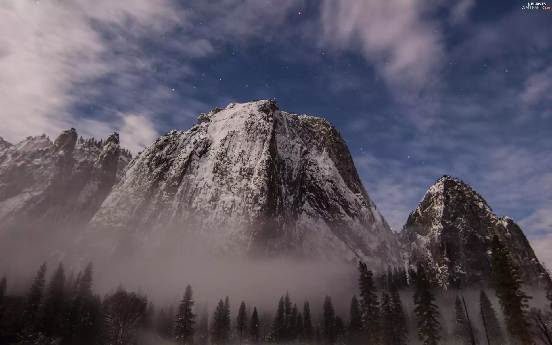 rocks, trees, viewes, Fog