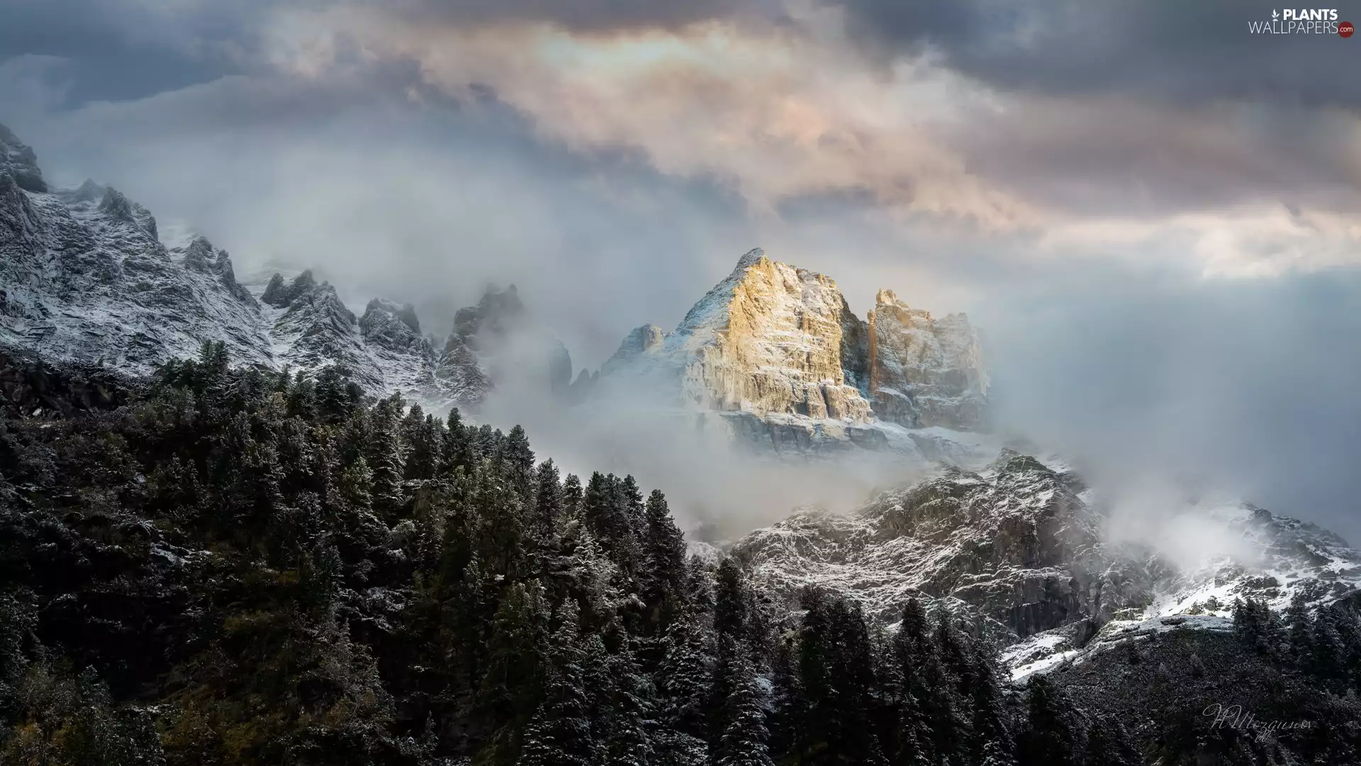peaks, Mountains, viewes, Fog, trees, Snowy