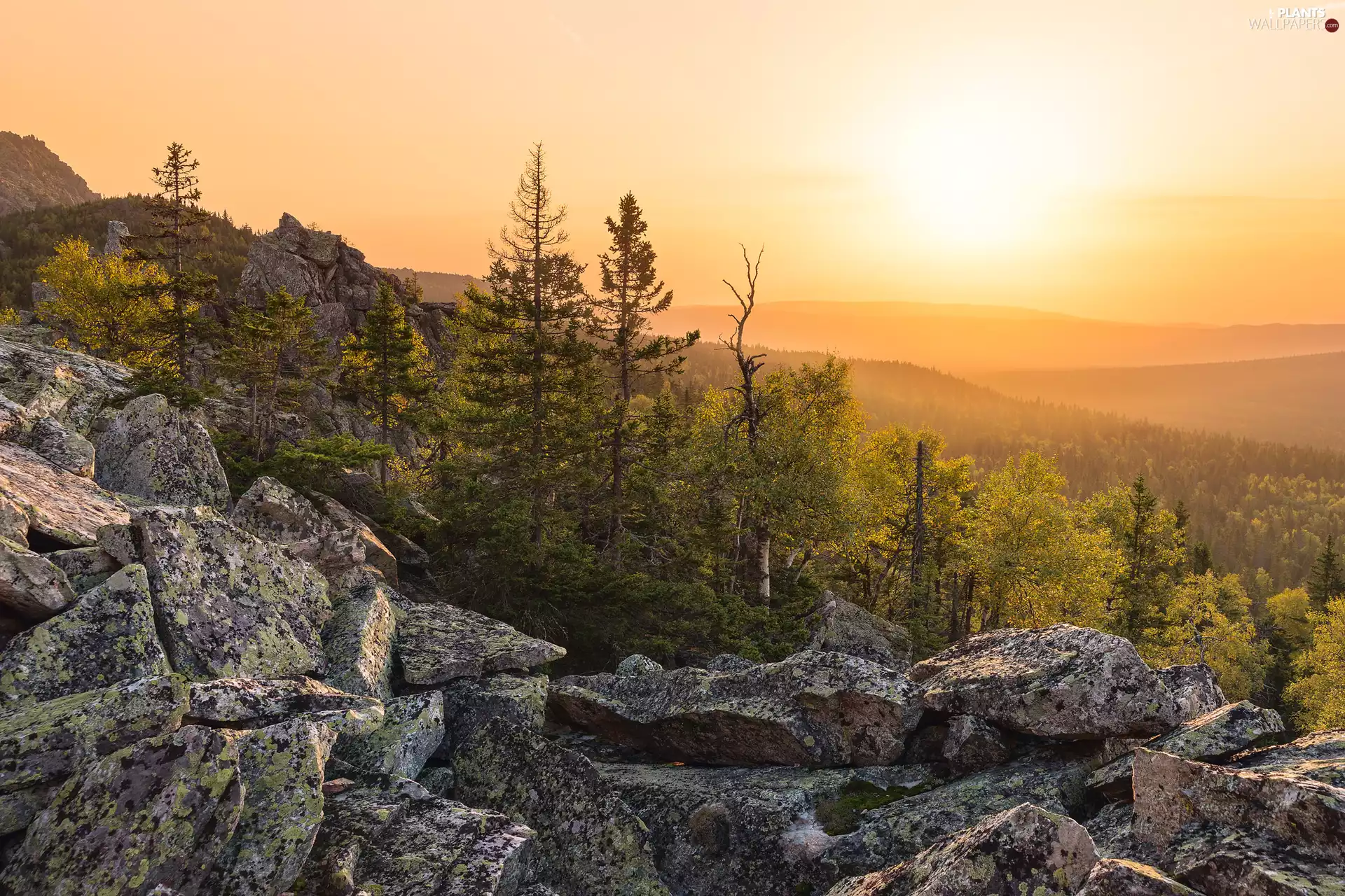 Mountains, trees, Stones, viewes, rocks, Sunrise, autumn, Fog