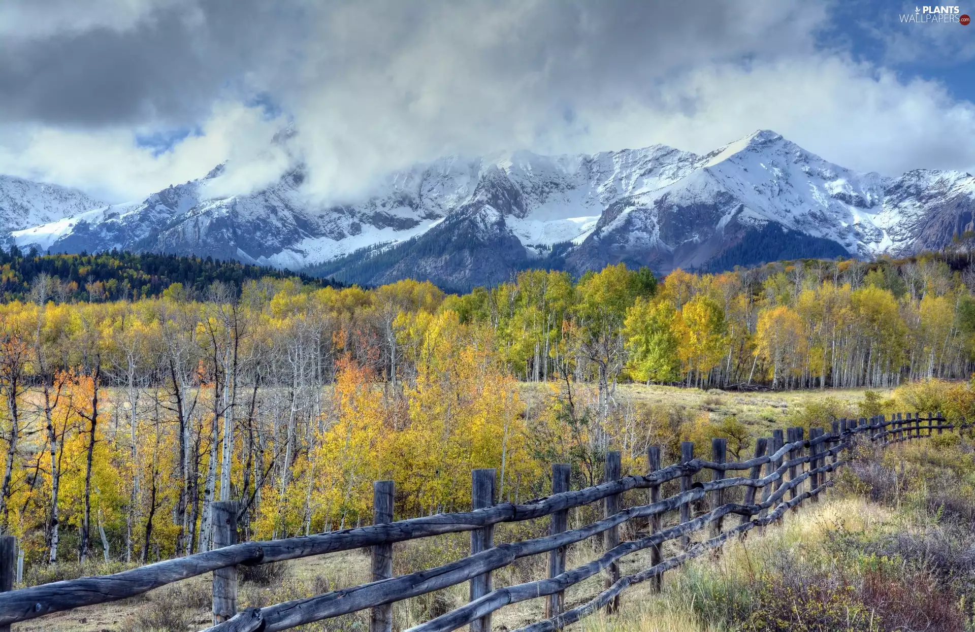 viewes, Mountains, fence, Fog, autumn, trees