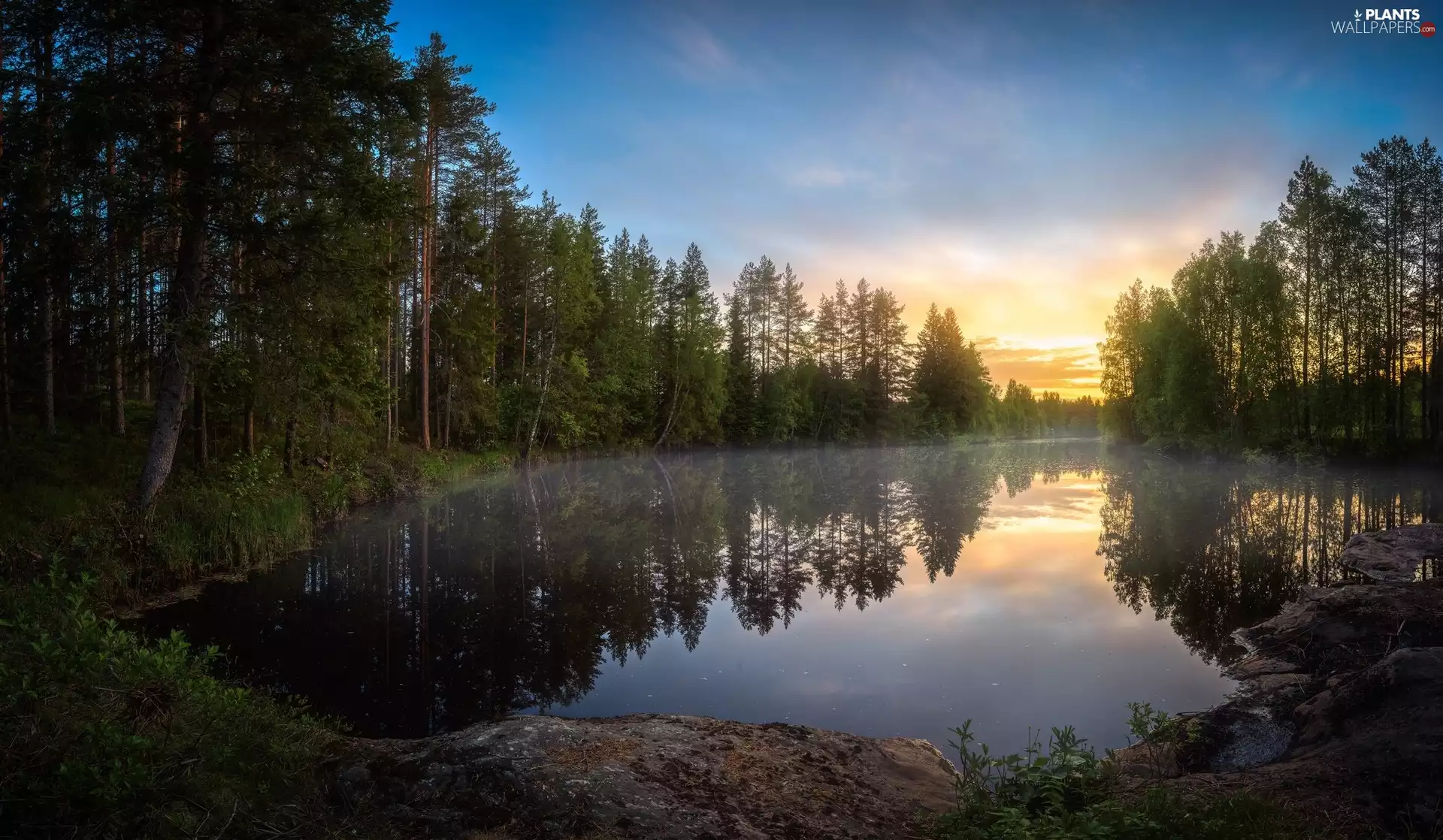 Sunrise, Fog, trees, viewes, River