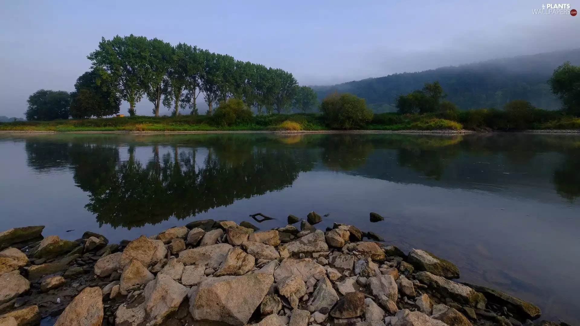 viewes, lake, Stones, Fog, reflection, trees