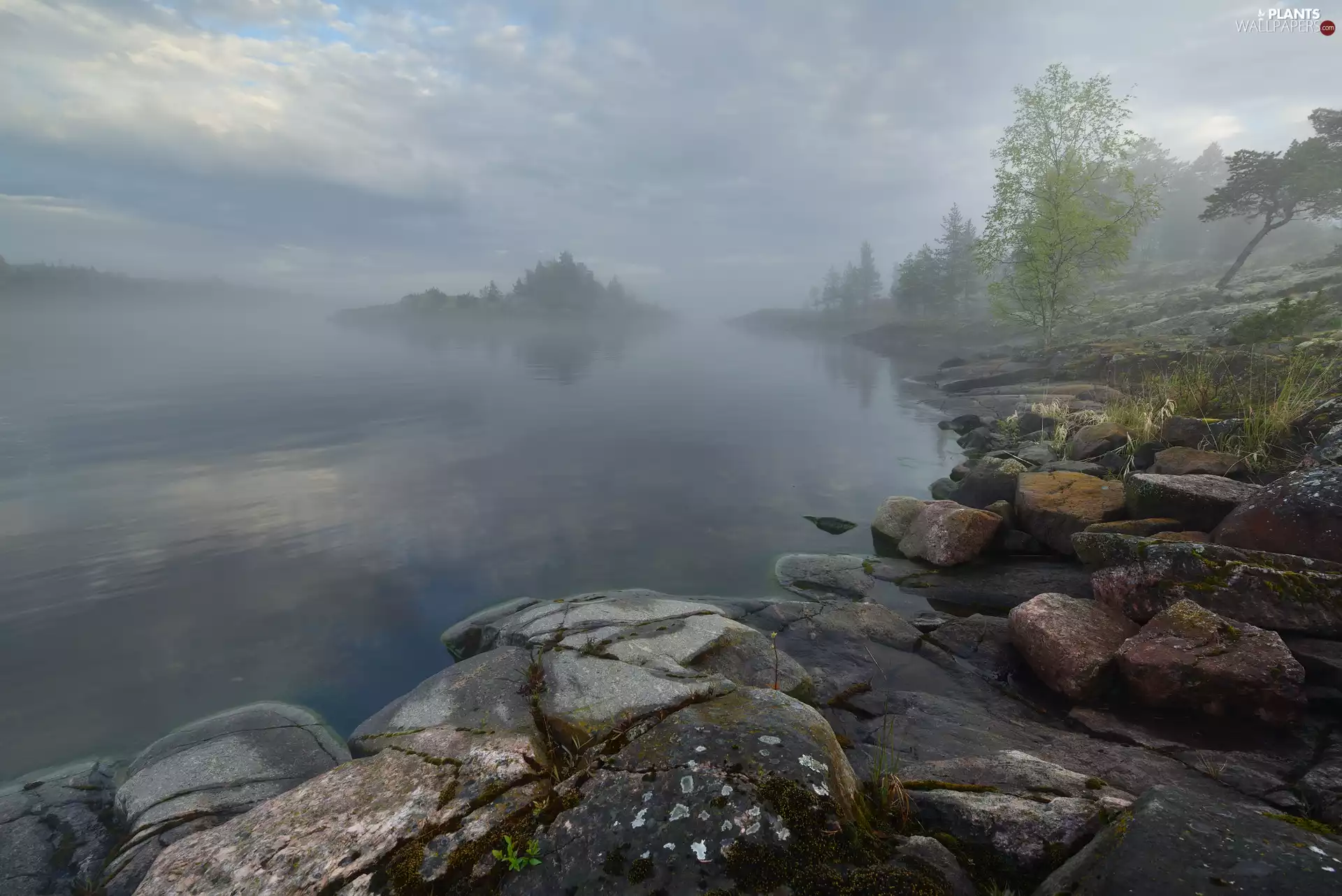 Fog, Lake Ladoga, coast, rocks, Karelia, Russia, trees, viewes, Stones