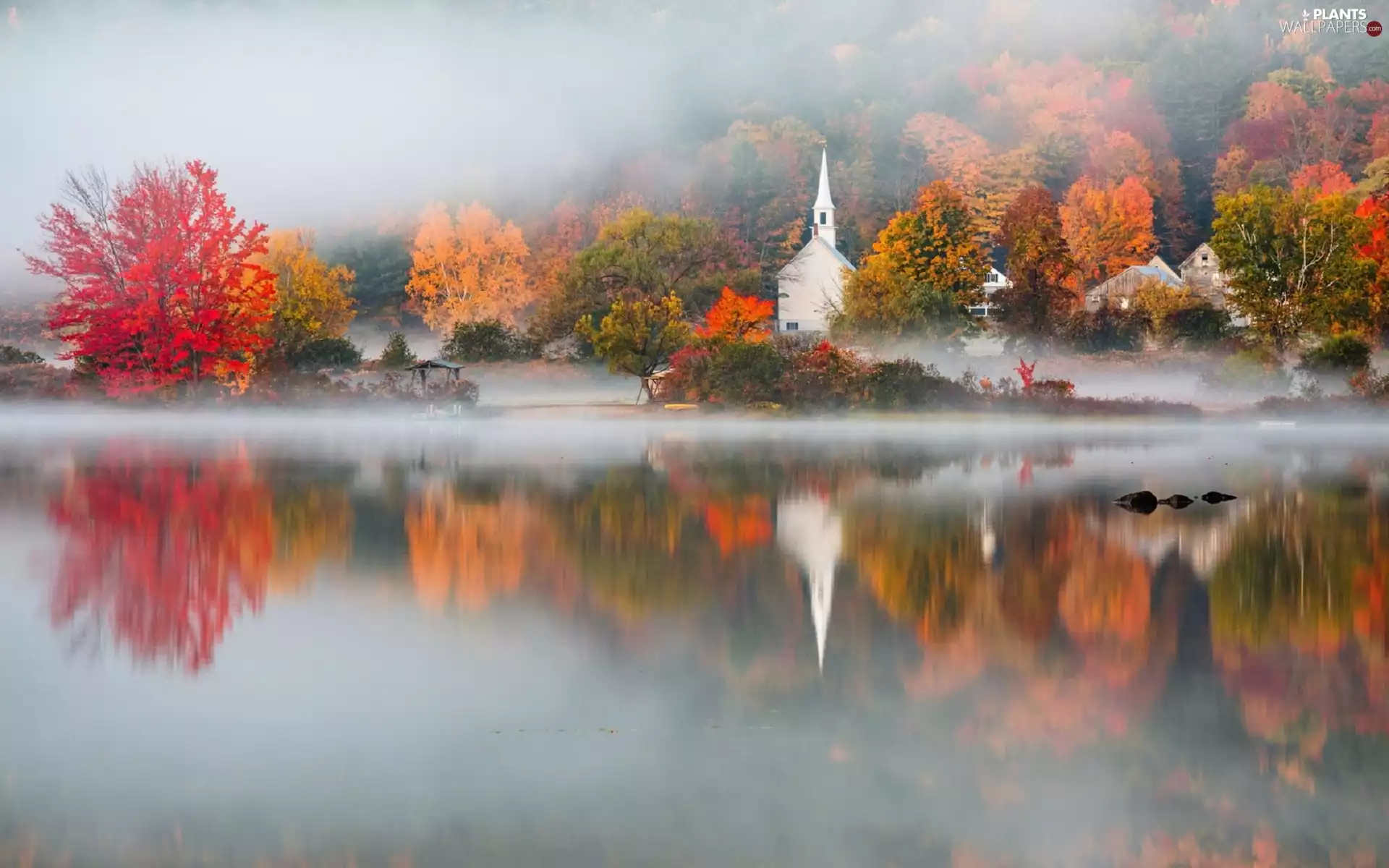 forest, lake, viewes, Fog, autumn, trees, Church