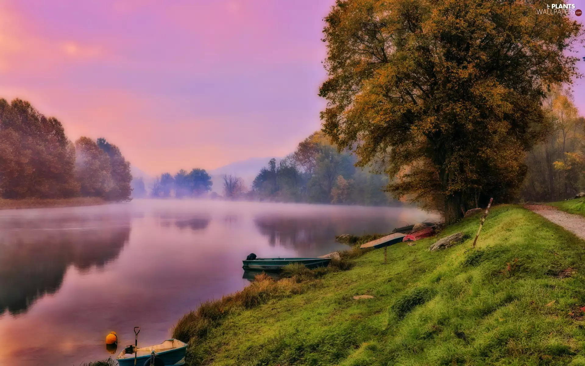 boats, lake, viewes, Fog, morning, trees, grass