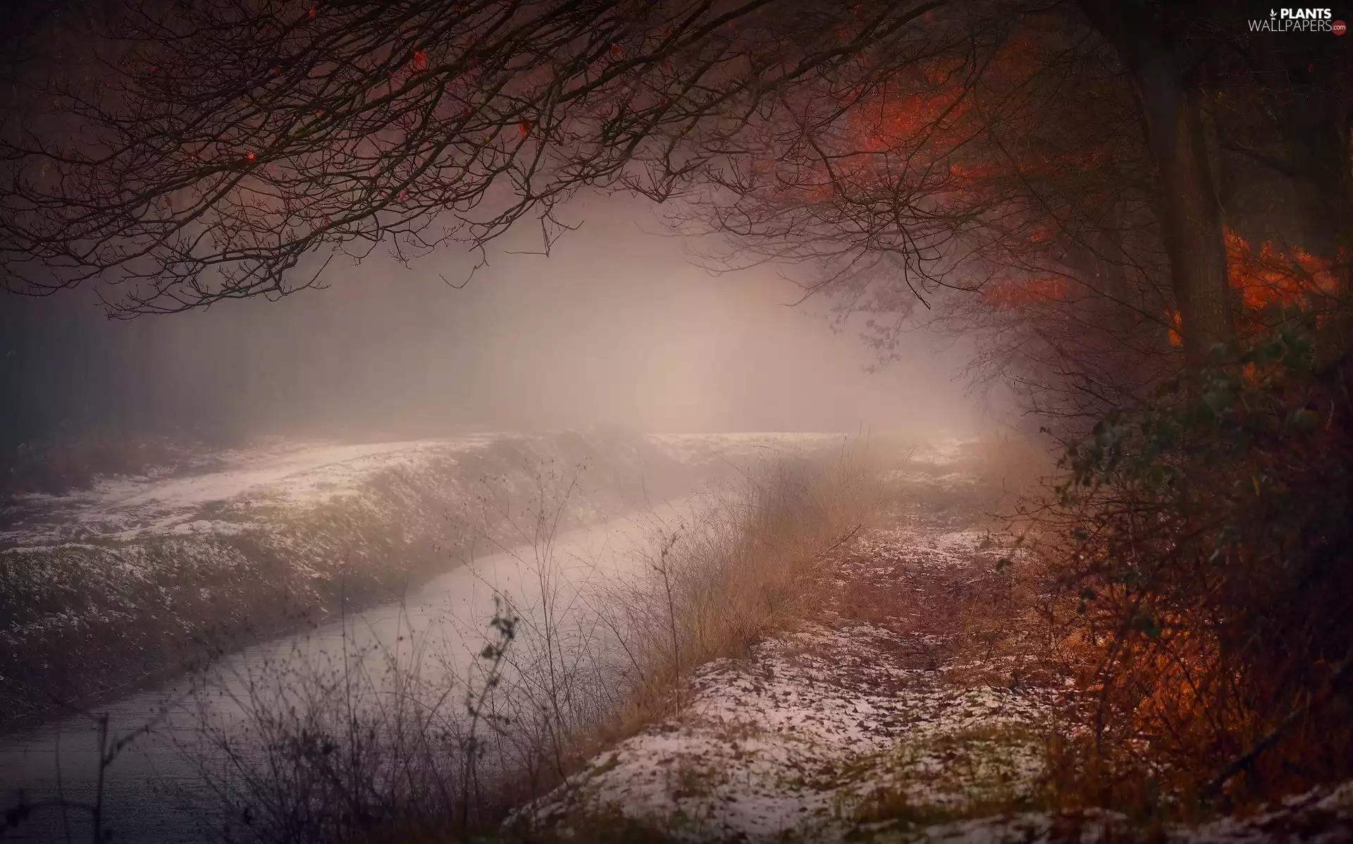 autumn, trees, snow, Fog, River, viewes
