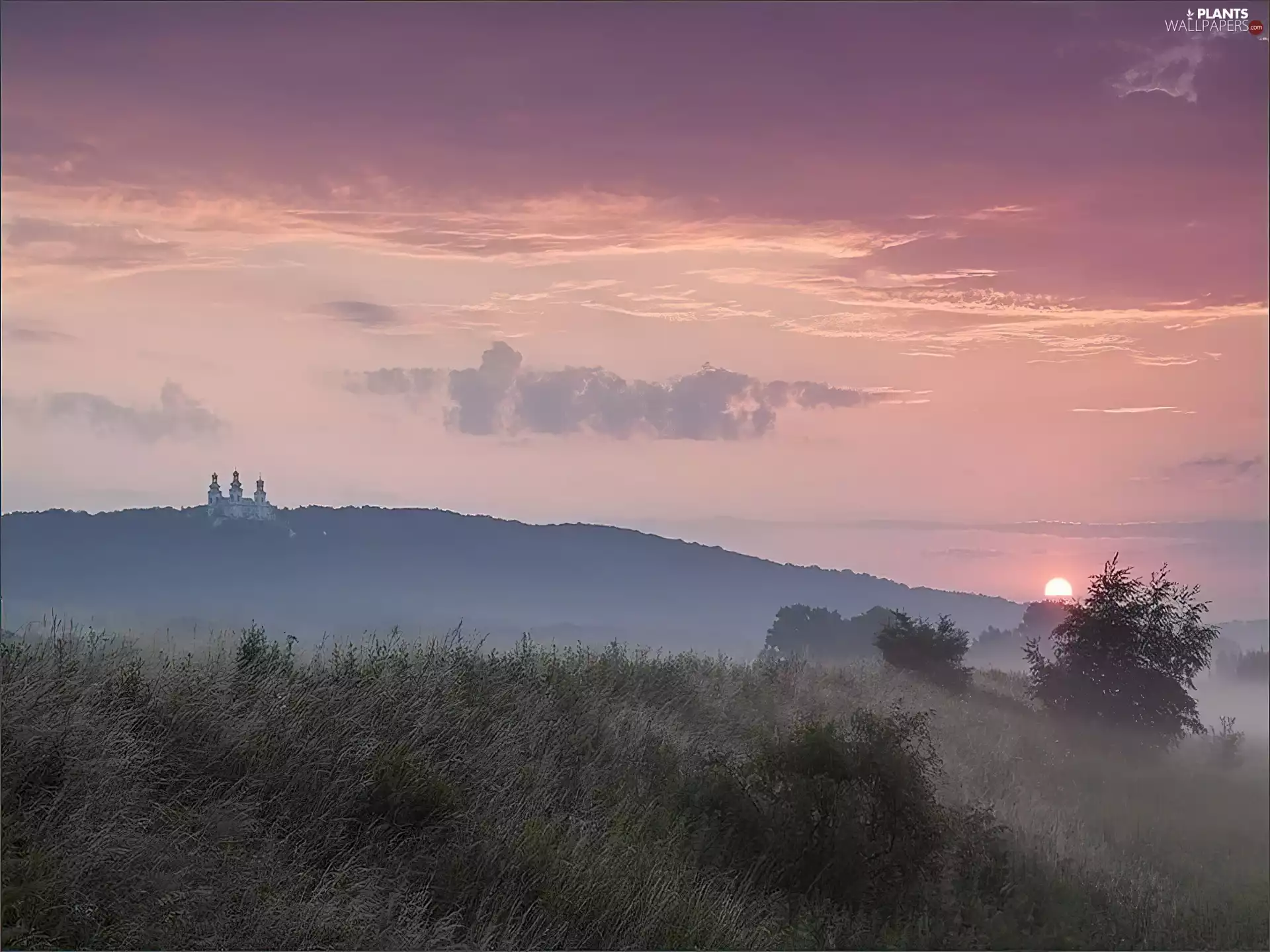 grass, sun, viewes, Fog, west, trees, Church