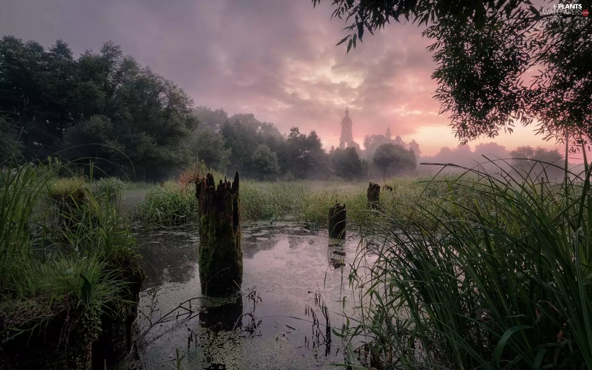 Pale, Sunrise, viewes, Fog, River, trees, rushes