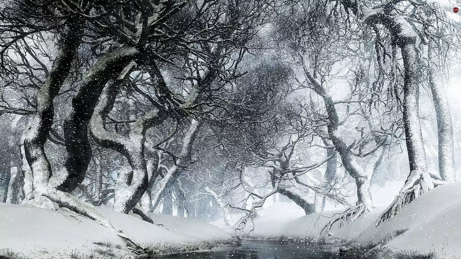 snow, Fog, viewes, River, trees