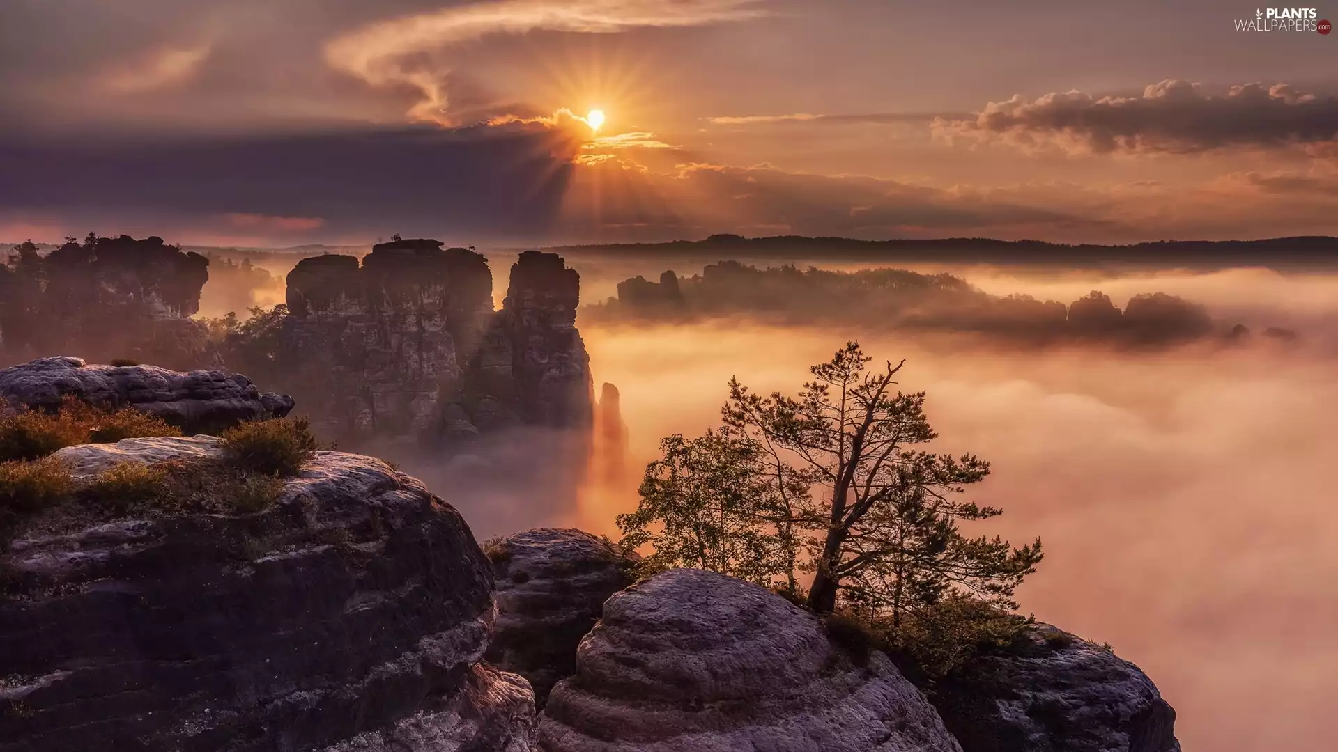 Bastei Rocks, Saxon Switzerland National Park, Děčínská vrchovina, Germany, rays of the Sun, clouds, trees, Sunrise, Fog