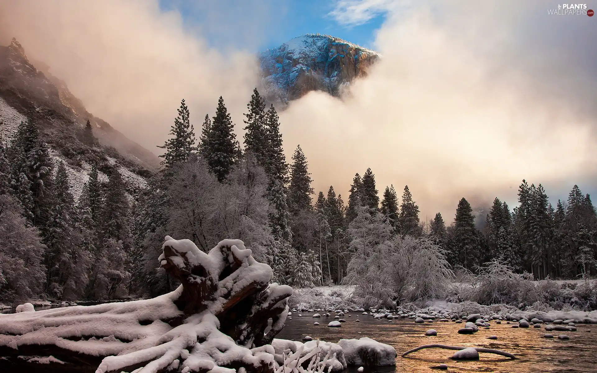 trees, Mountains, Fog, winter, viewes, River