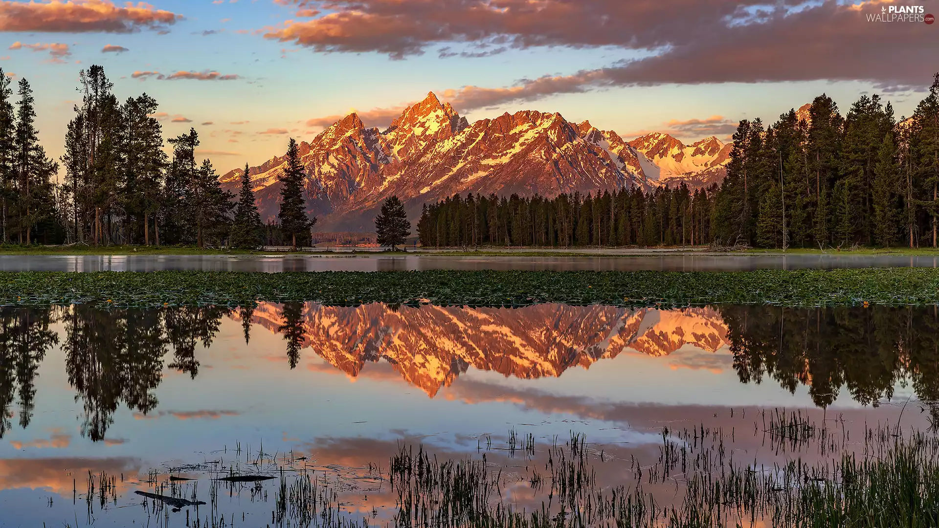 Teton Range Mountains, Grand Teton National Park, Pond - car, trees, State of Wyoming, The United States, Fog, clouds, viewes