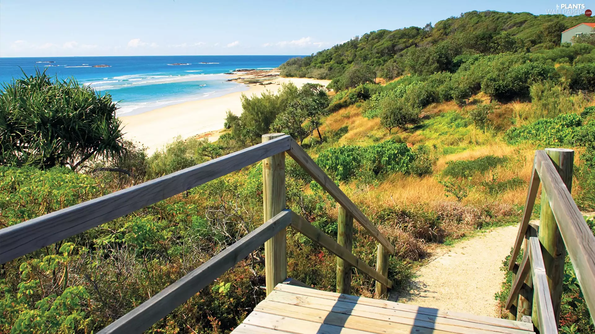 footbridge, sea, Bush
