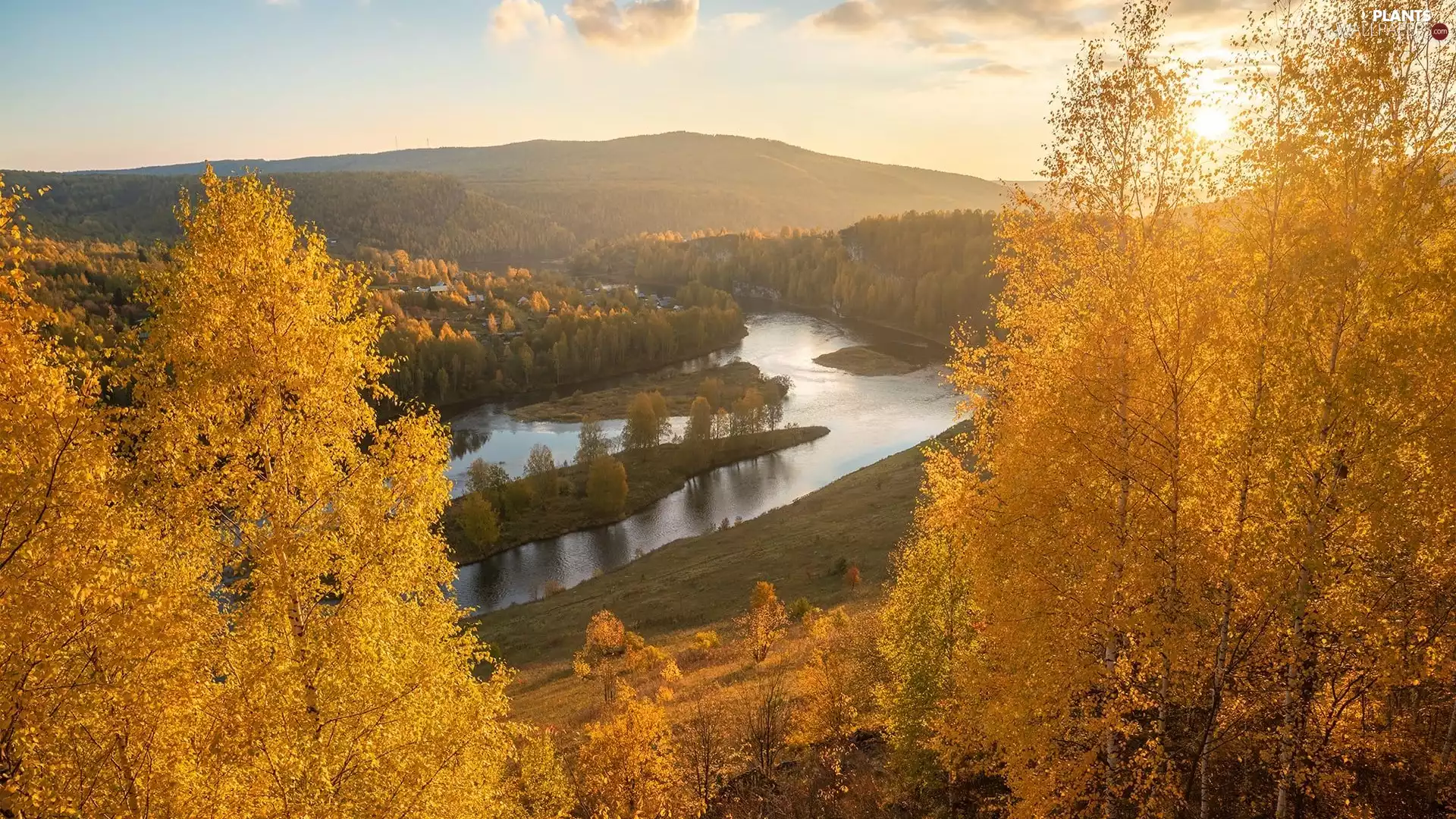 trees, River, autumn, forest, Mountains, viewes, Sunrise