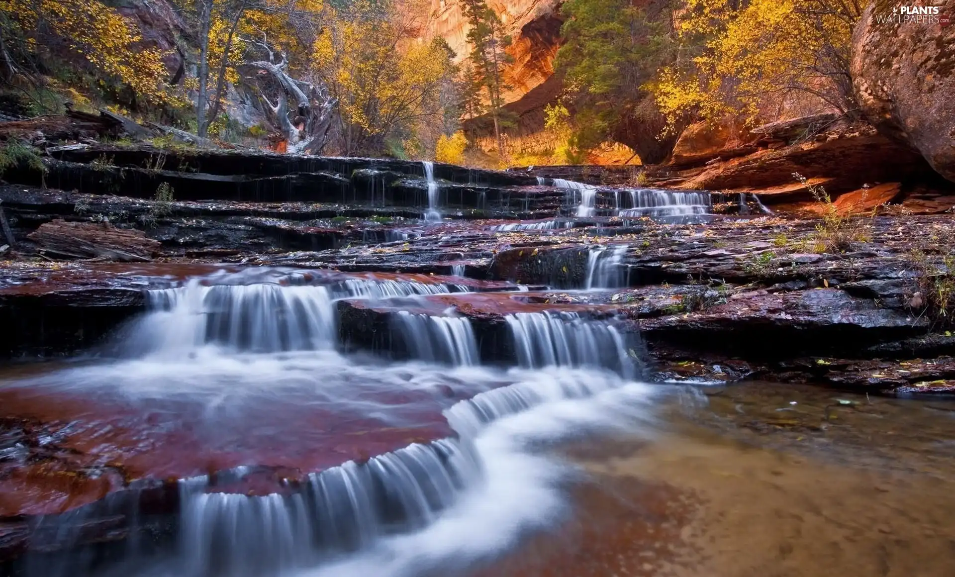 Forest, autumn, waterfall, ##, rocks