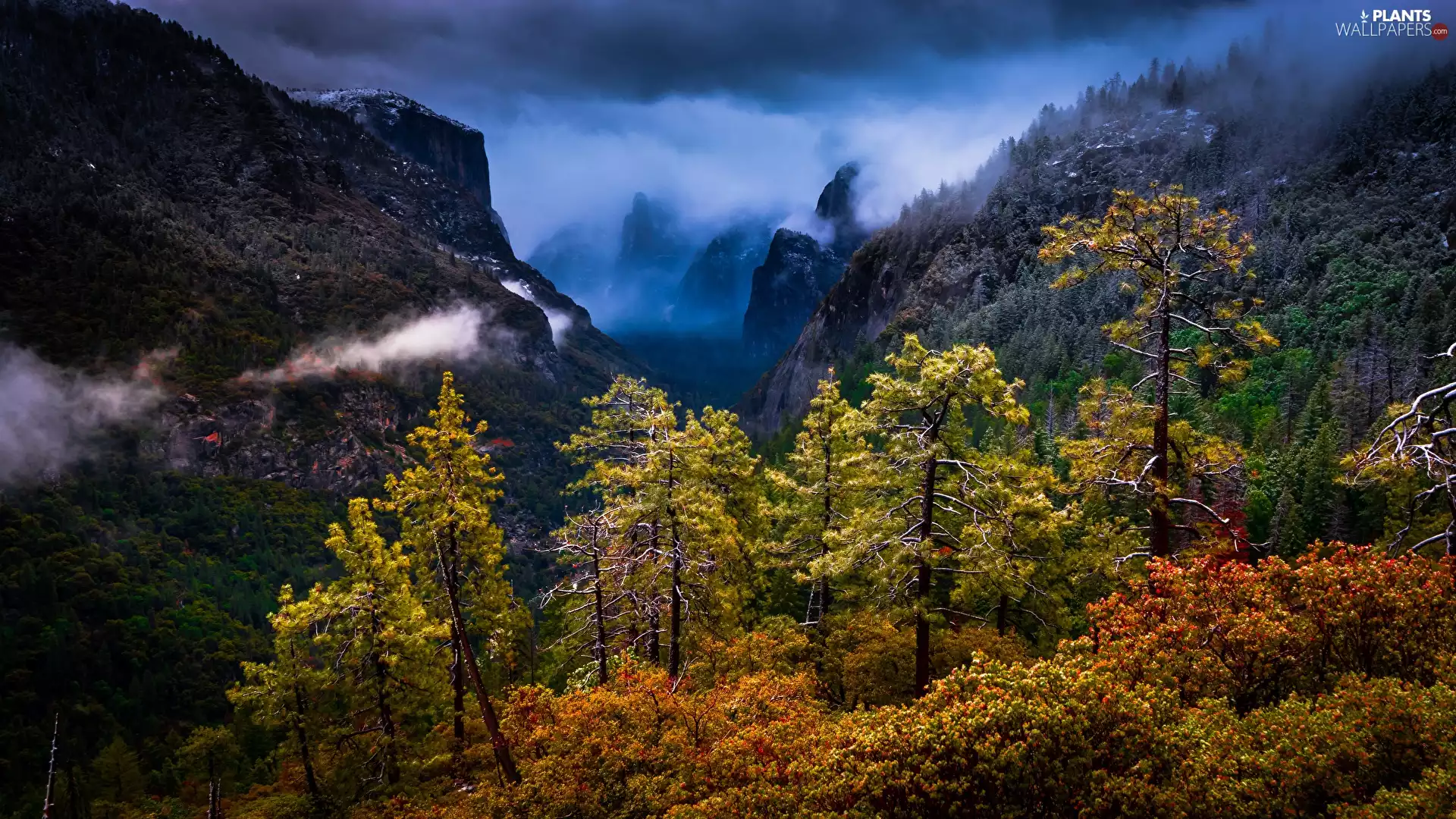 Mountains, Yosemite National Park, Sierra Nevada, forest, State of California, The United States, viewes, clouds, trees