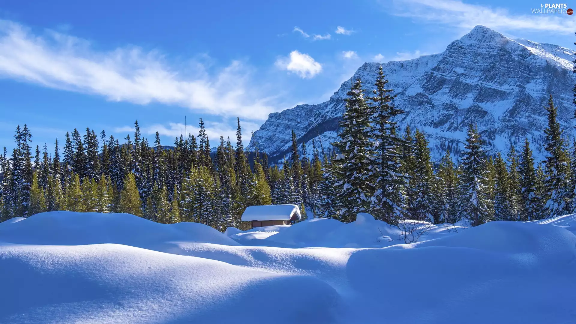 trees, Mountains, clouds, forest, winter, viewes, Home