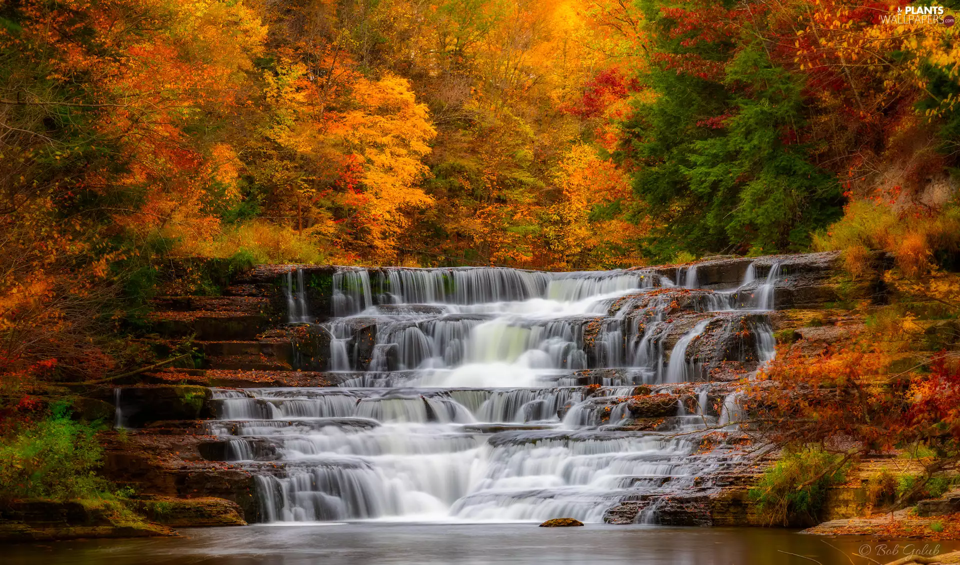 trees, autumn, waterfall, forest, viewes, color