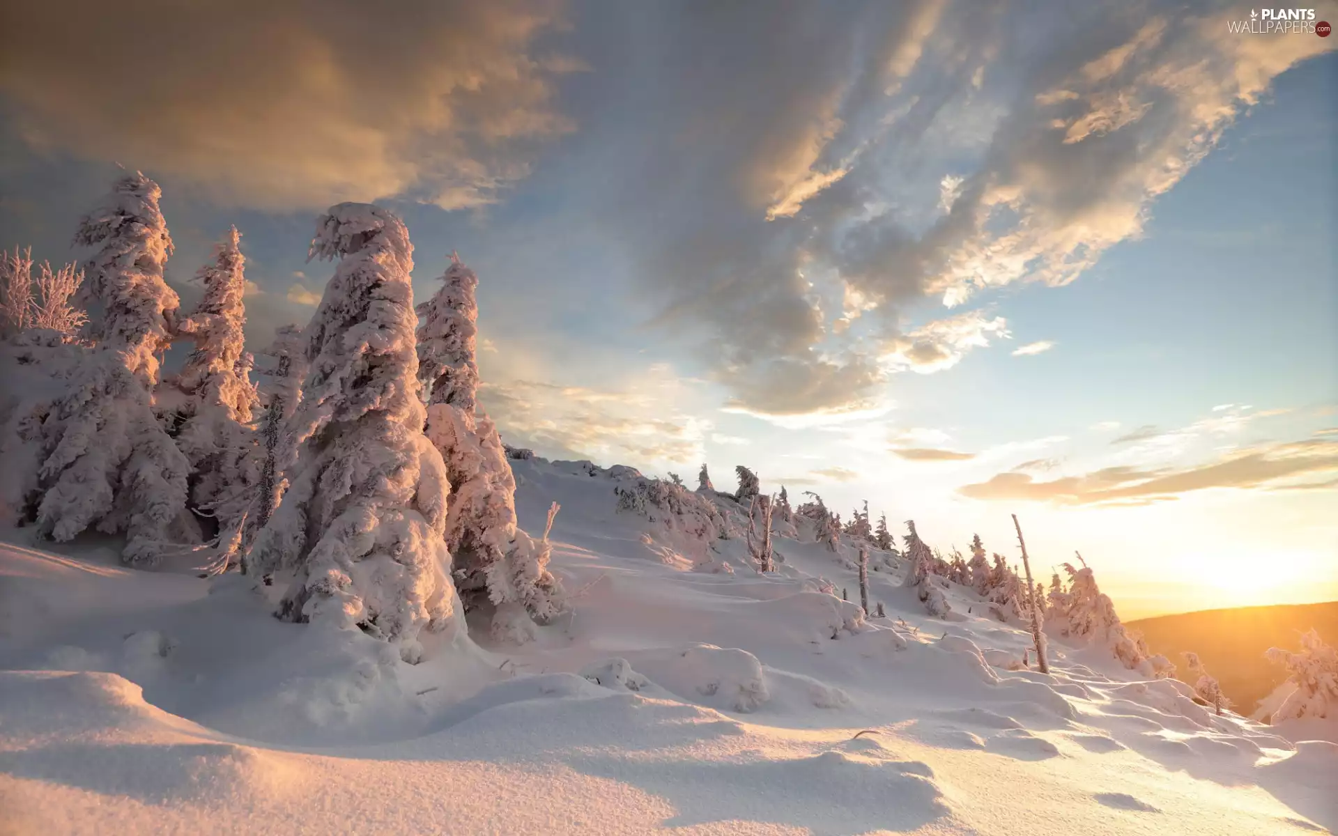 viewes, winter, drifts, slope, clouds, Great Sunsets, Hill, trees, forest, snow, Sky