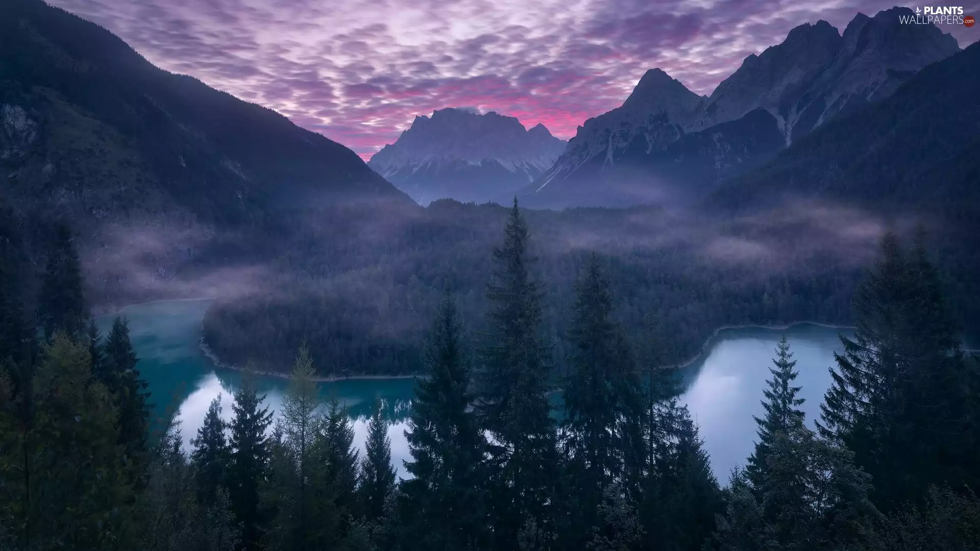 trees, River, Fog, forest, Mountains, viewes, clouds