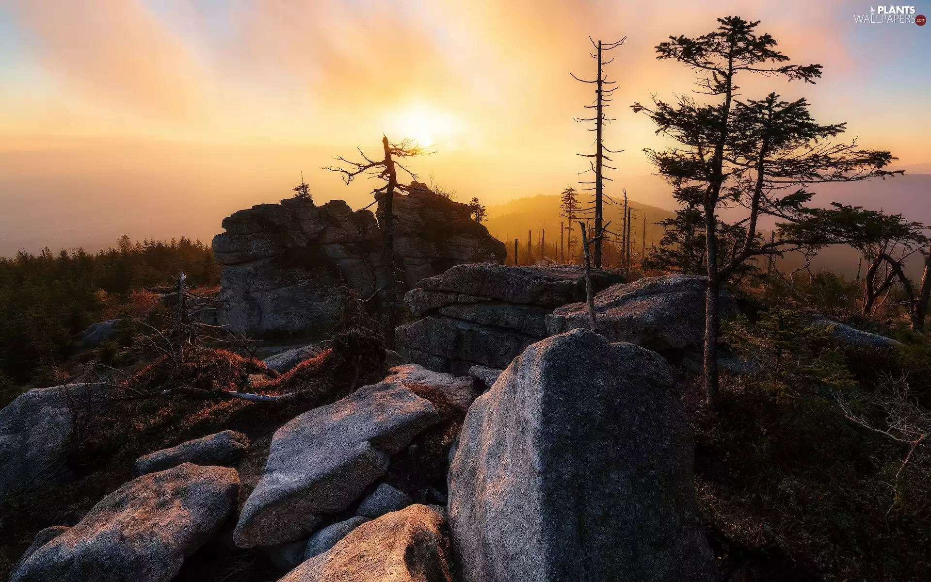 trees, viewes, Bavarian Forest, rocks, Germany