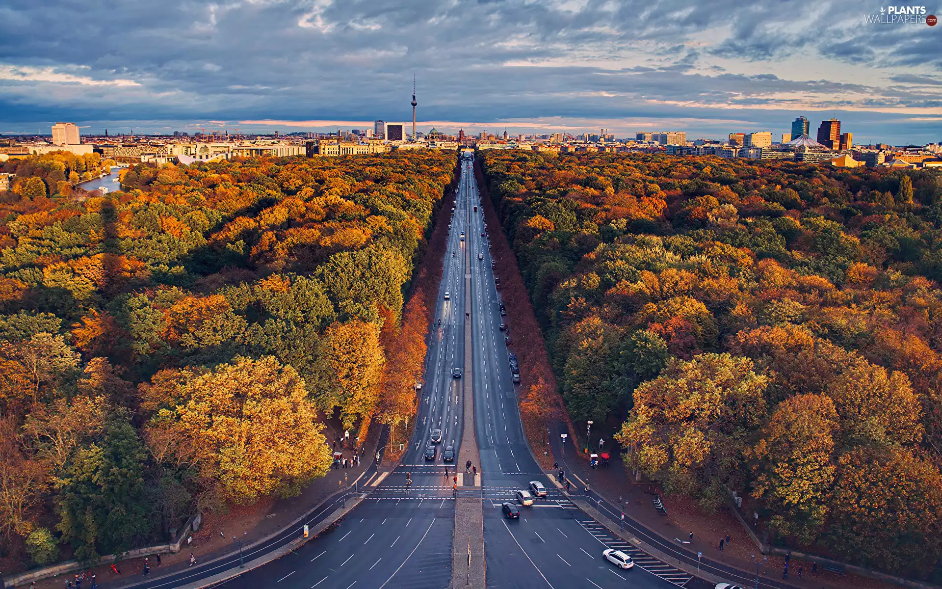 Way, trees, Germany, viewes, Berlin, freeway, autumn, forest