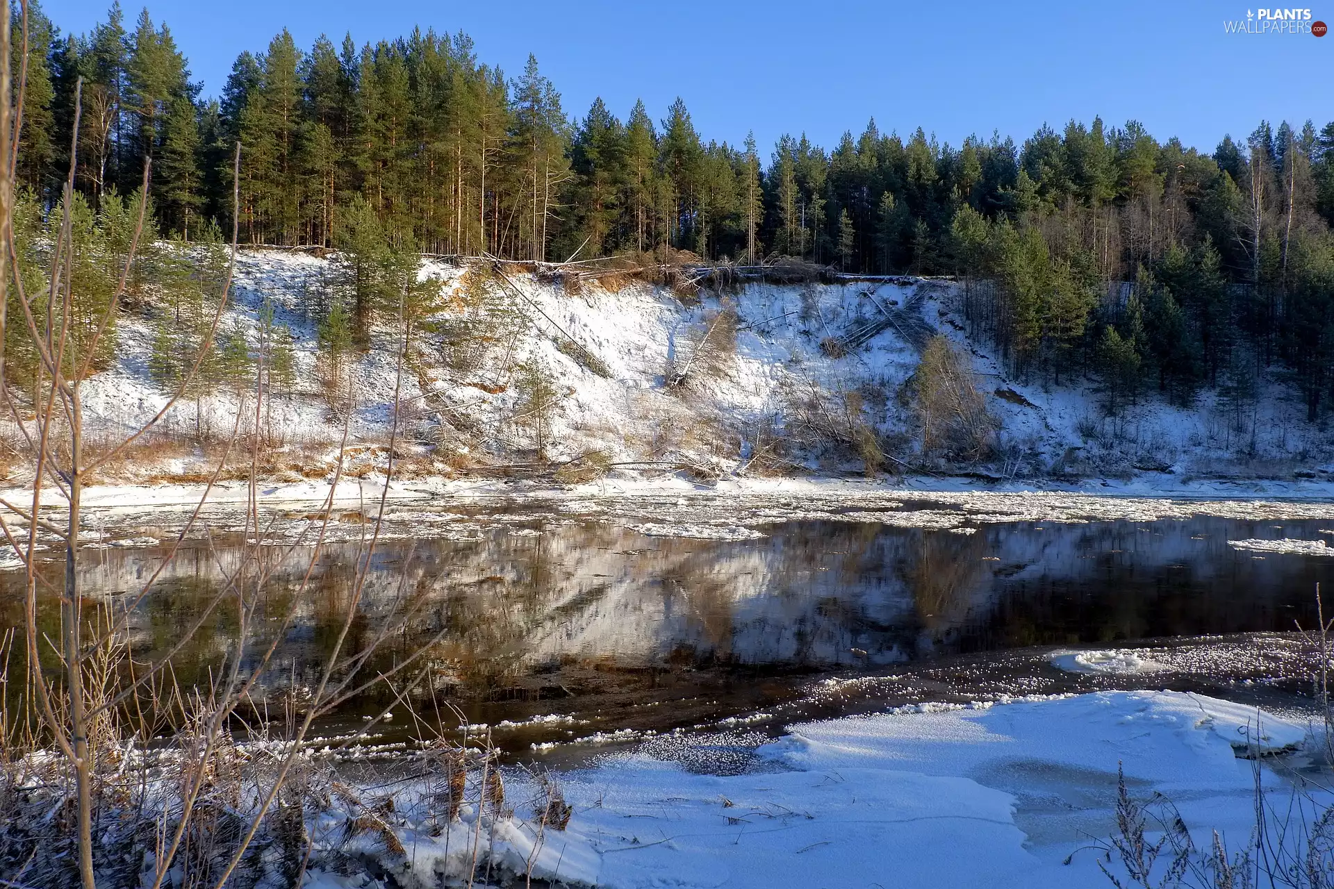 trees, River, Hill, forest, winter, viewes, snow