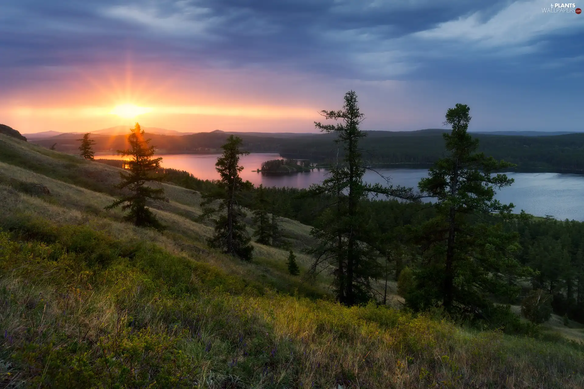 forest, trees, clouds, viewes, Sunrise, The Hills, River, Islet