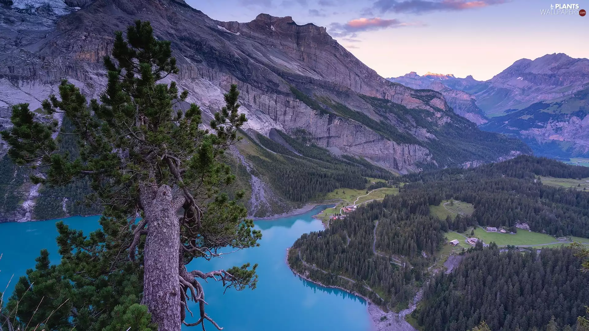 trees, lake, Houses, forest, Mountains, viewes, Valley