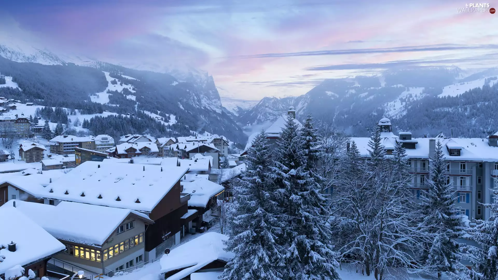 trees, Mountains, Houses, forest, winter, viewes, Fog