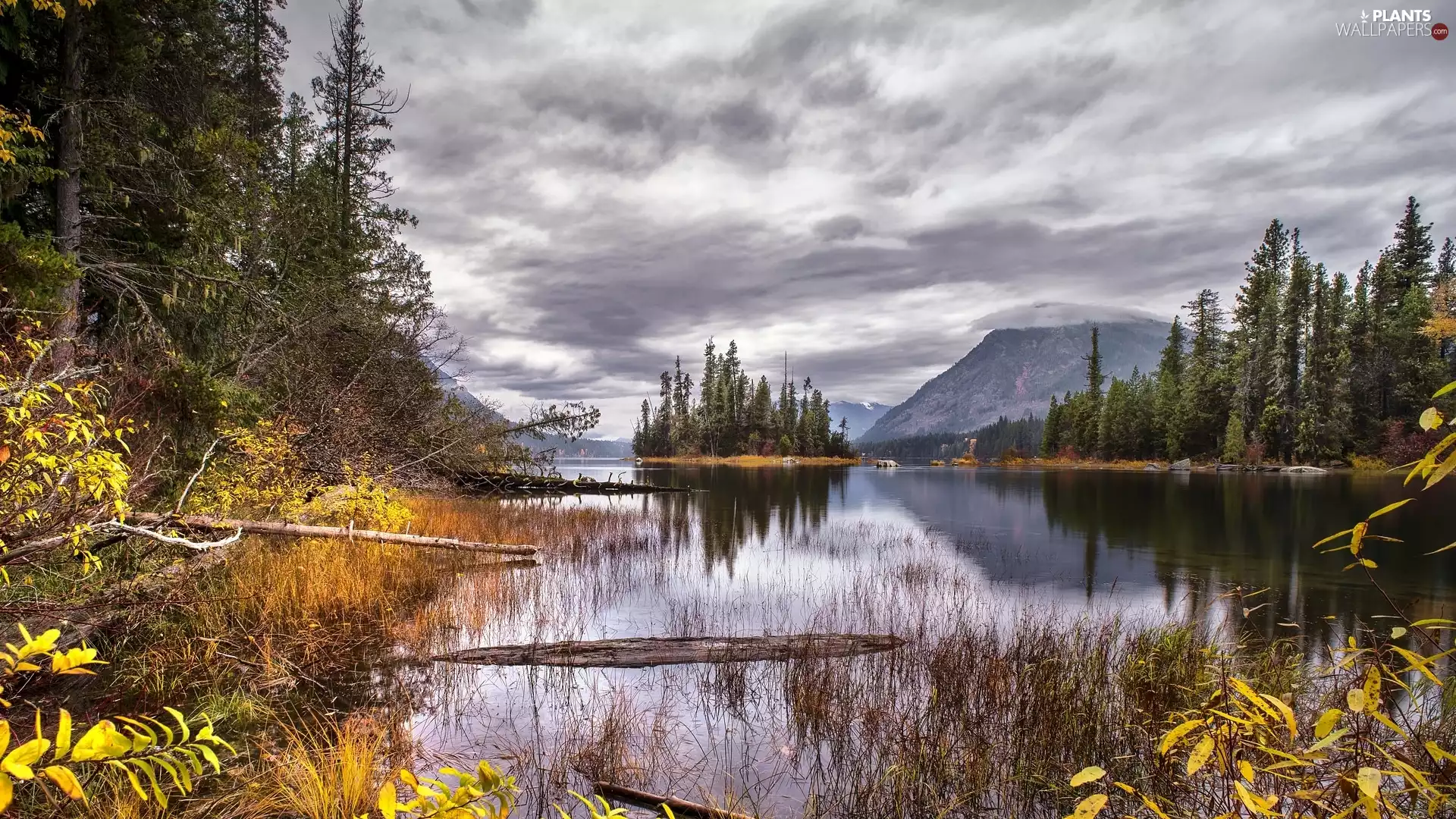 Mountains, lake, viewes, forest, trees, Islets