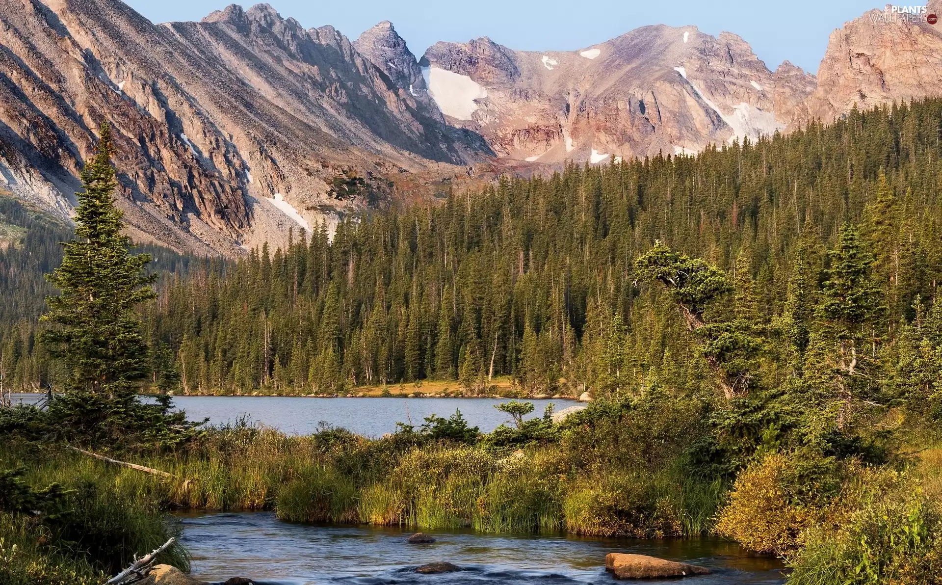 viewes, forest, lake, trees, Mountains
