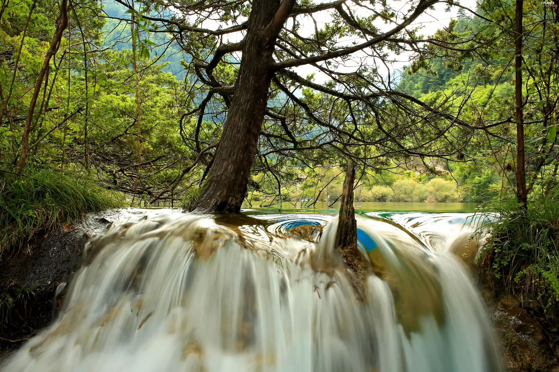 Mountains, waterfall, China, forest