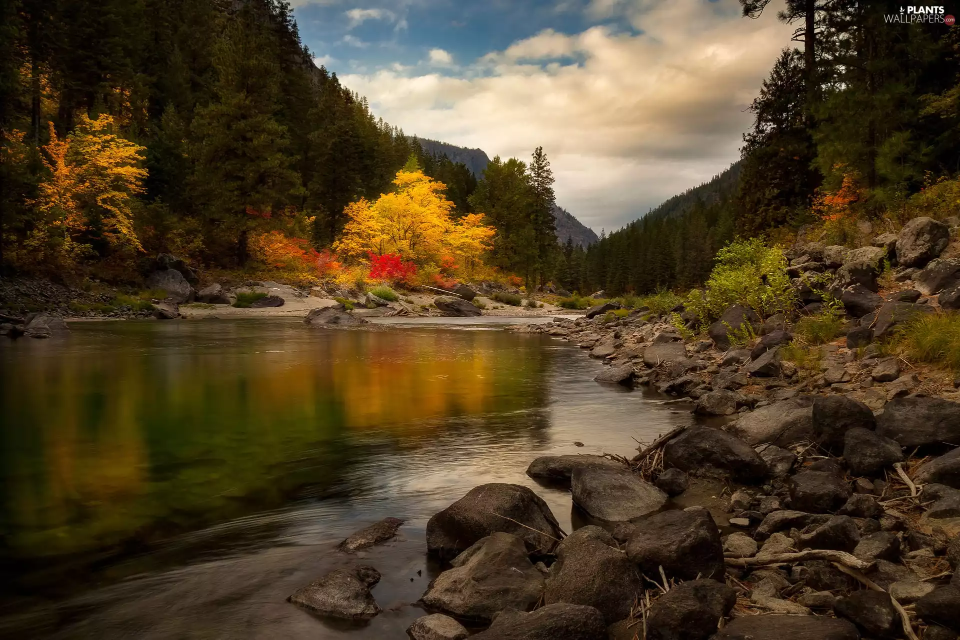 trees, Stones, Mountains, forest, River, viewes, autumn