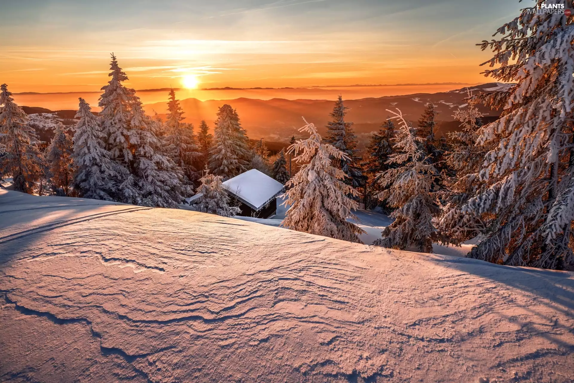 forest, winter, trees, viewes, snow, Great Sunsets, house, Mountains, Spruces