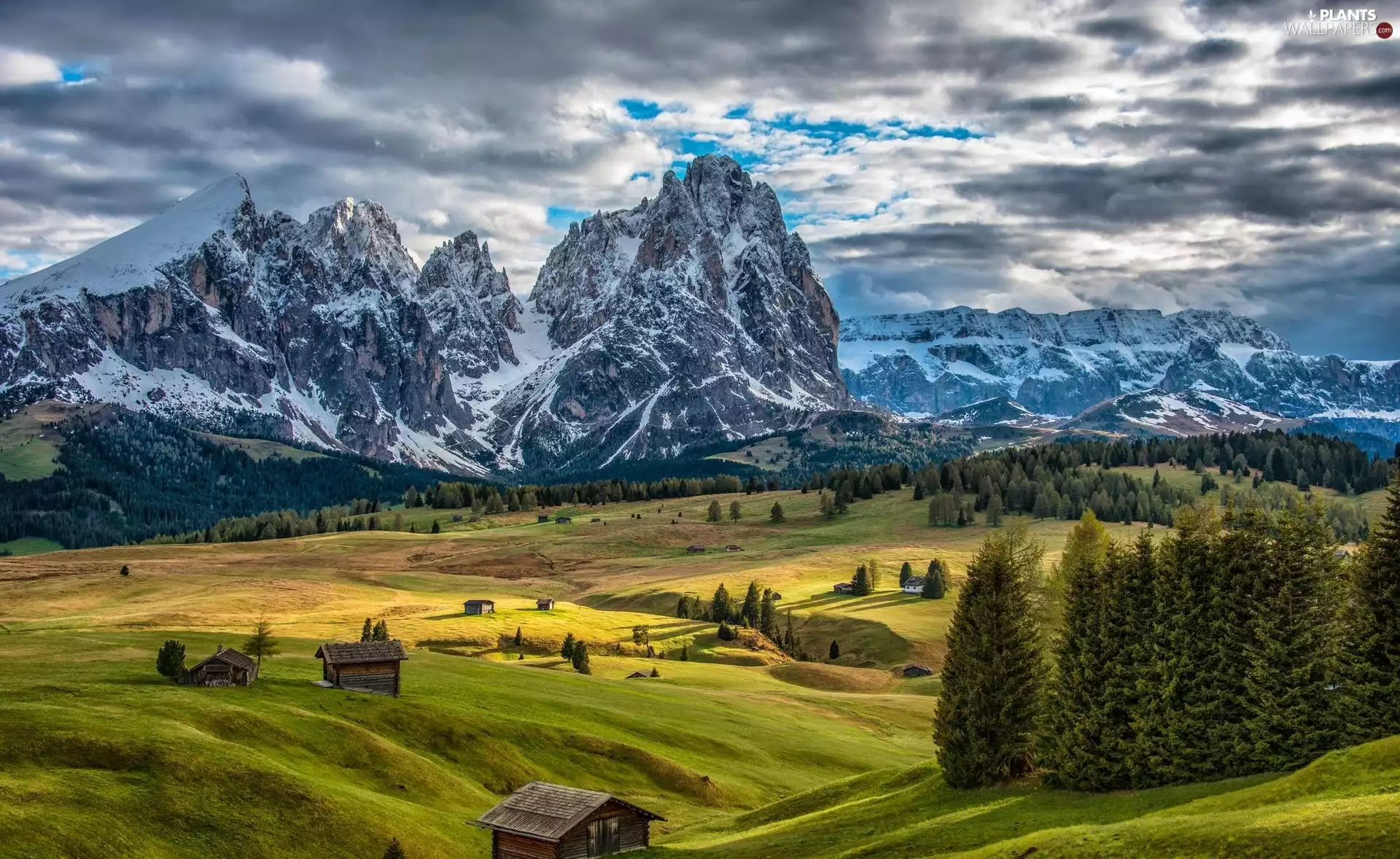 Seiser Alm Meadow, Italy, Snow-capped Peaks, Mountains, trees, Houses, clouds, Dolomites, Trentino-Alto Adige, viewes, forest