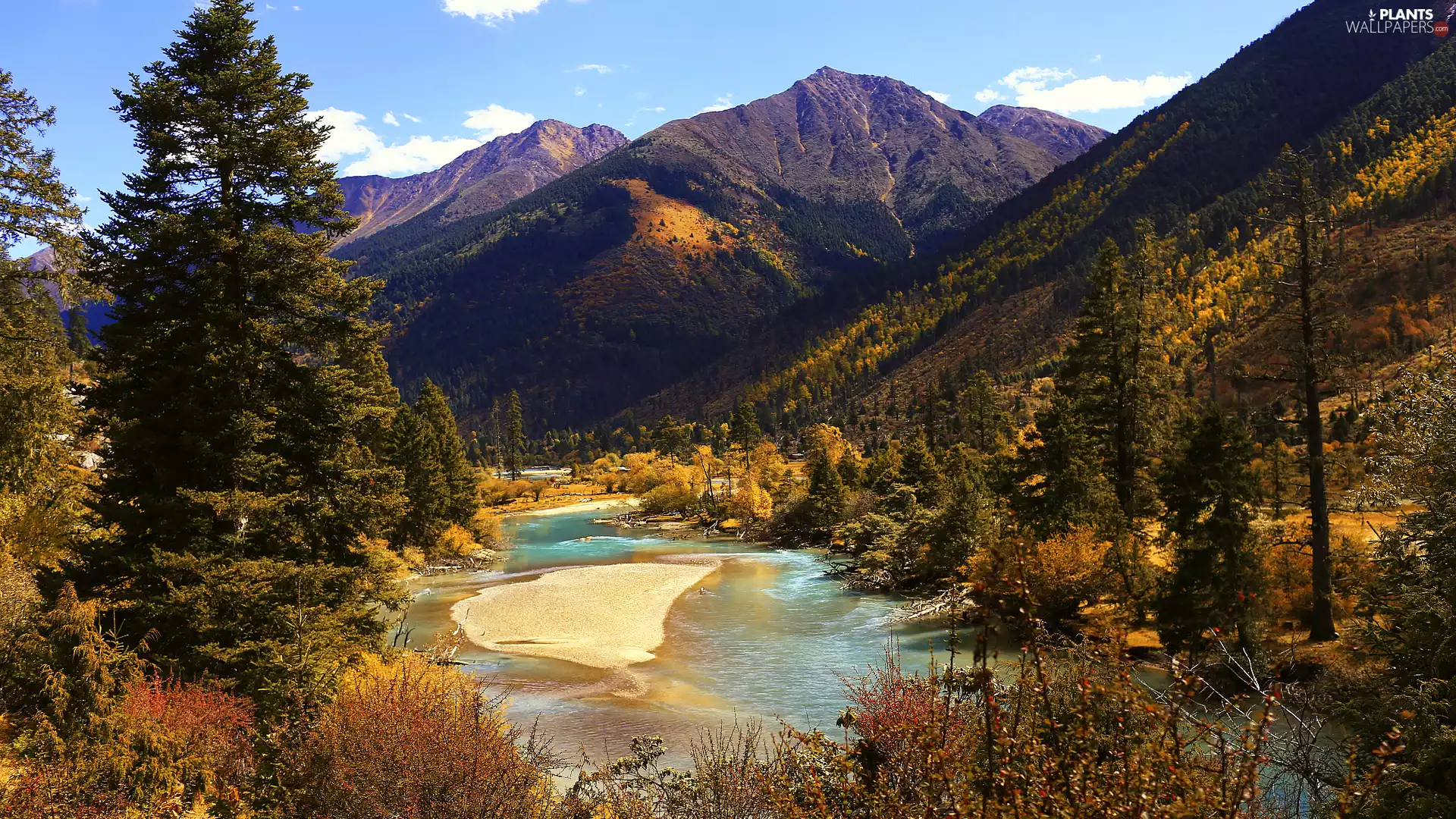 viewes, forest, River, trees, Mountains