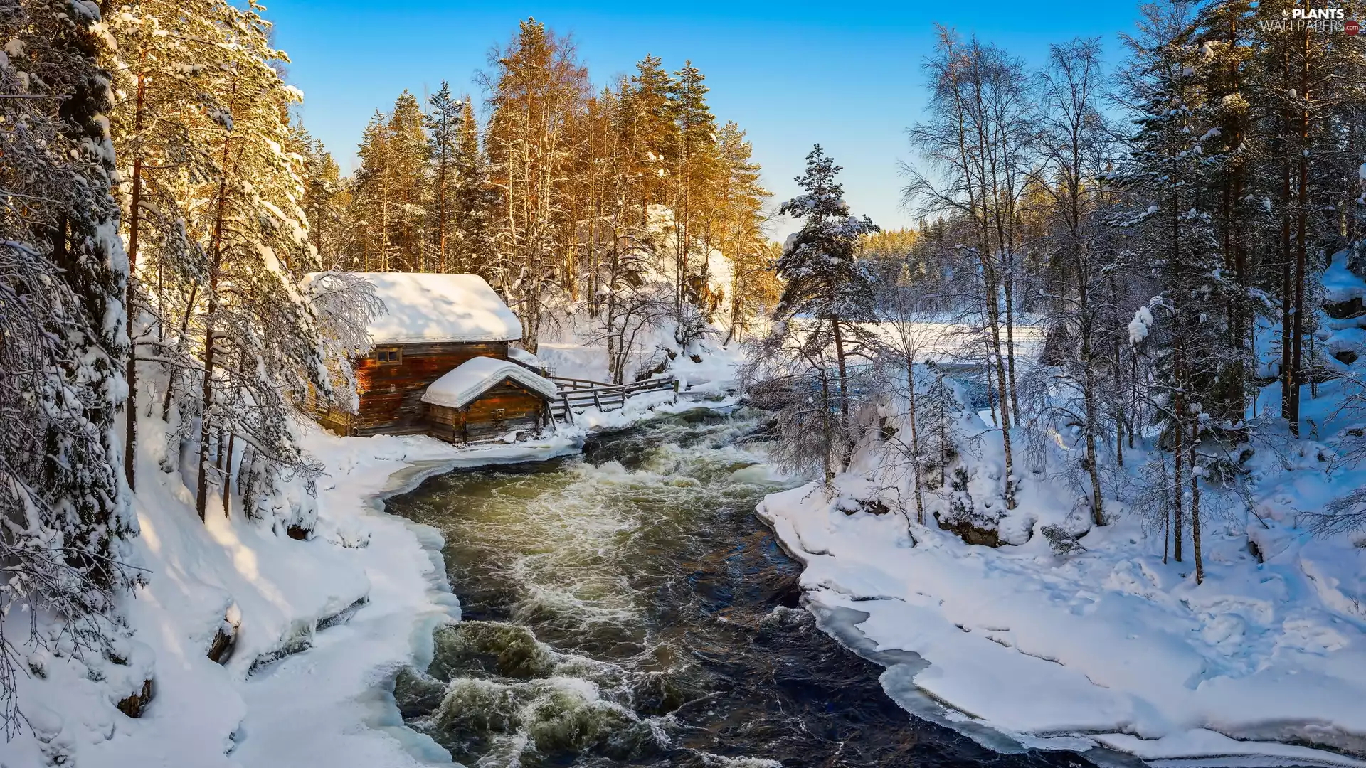 Oulanka National Park, trees, River, Lapland, Myllykoski Mill, forest, viewes, Finland, Kuusamo Municipality, winter