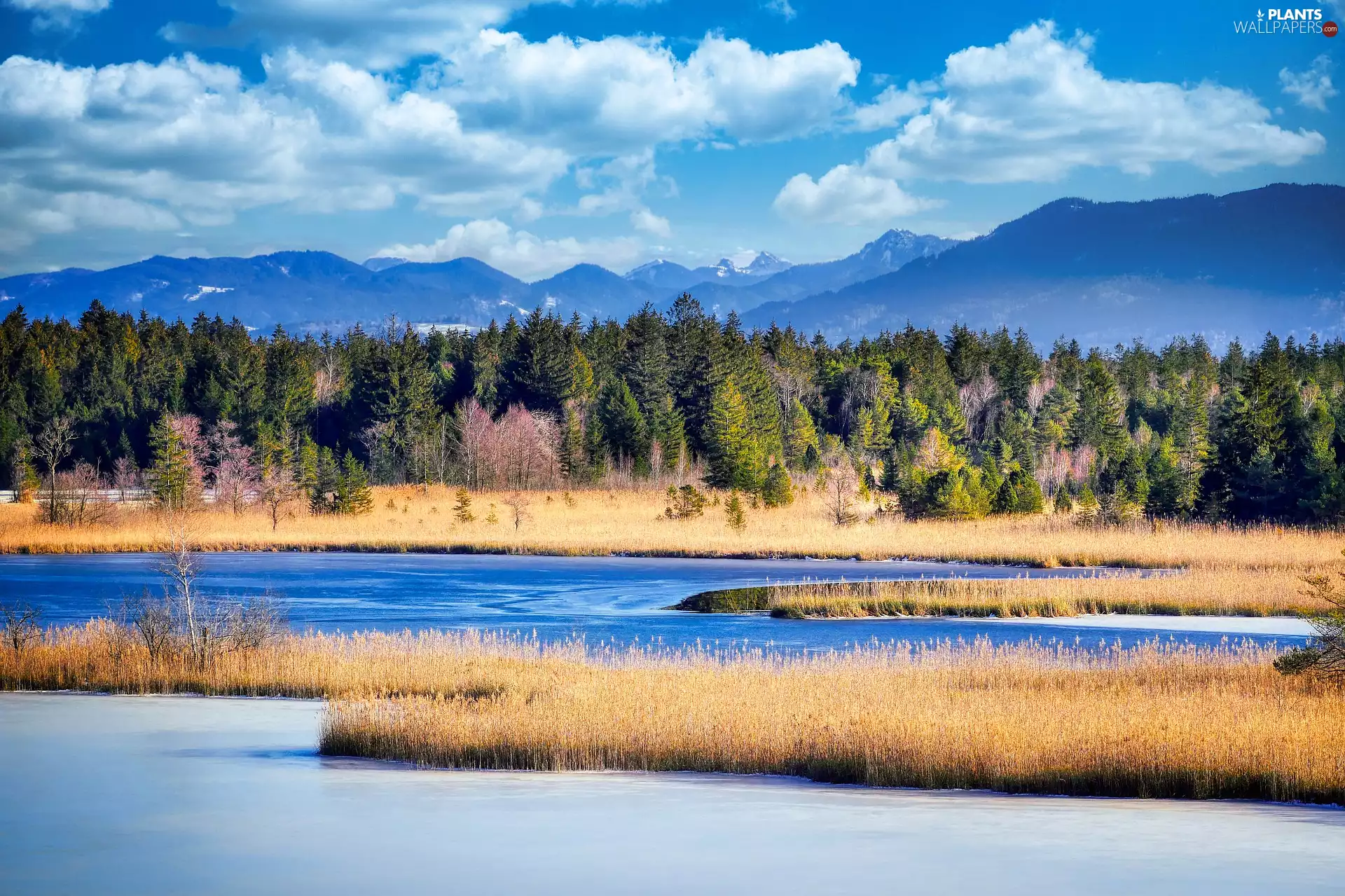 Mountains, trees, Sky, viewes, clouds, Cane, lake, forest