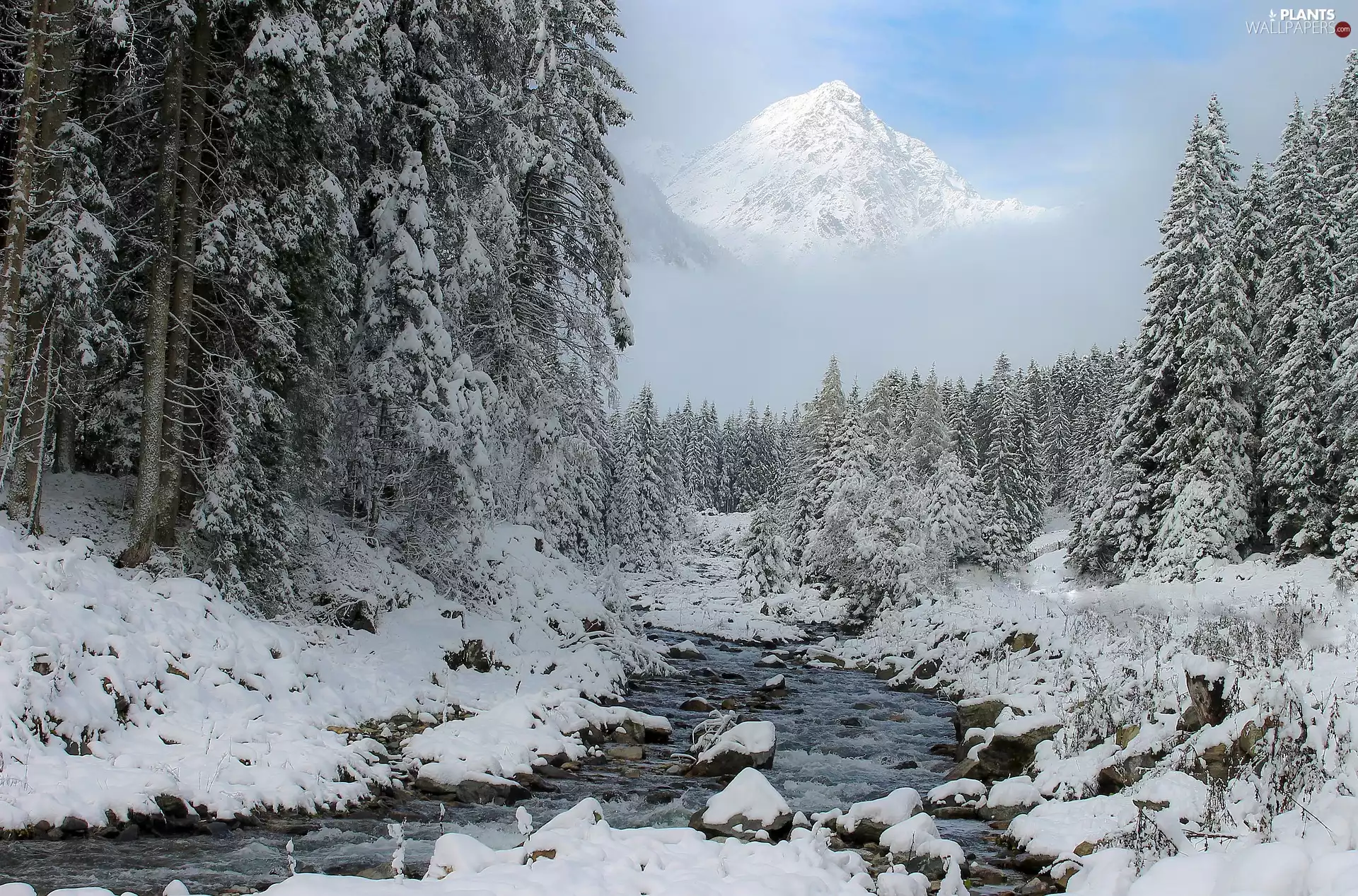 trees, River, snow, forest, winter, viewes, Mountains