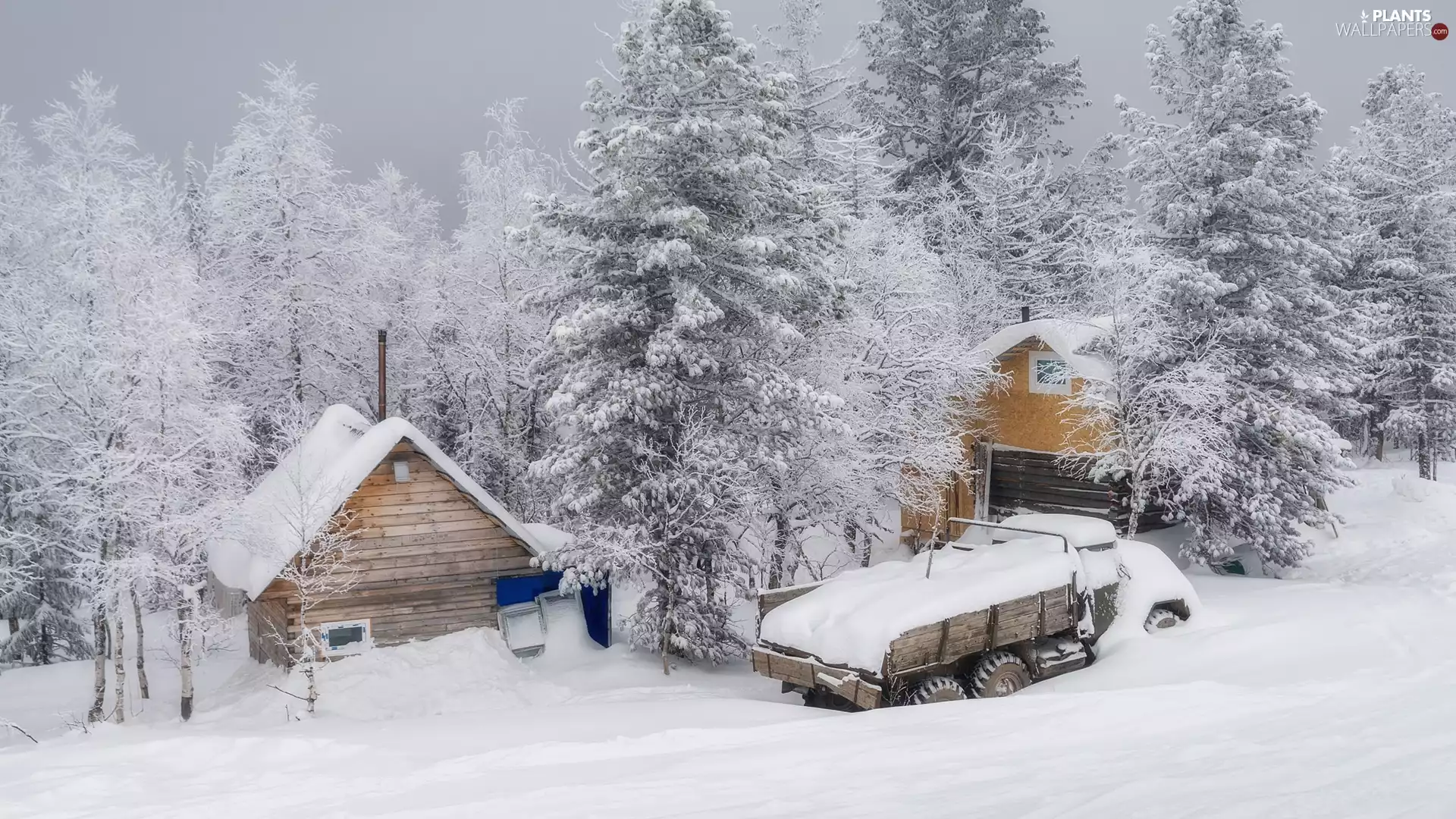 trees, winter, snowy, forest, Houses, viewes, Automobile