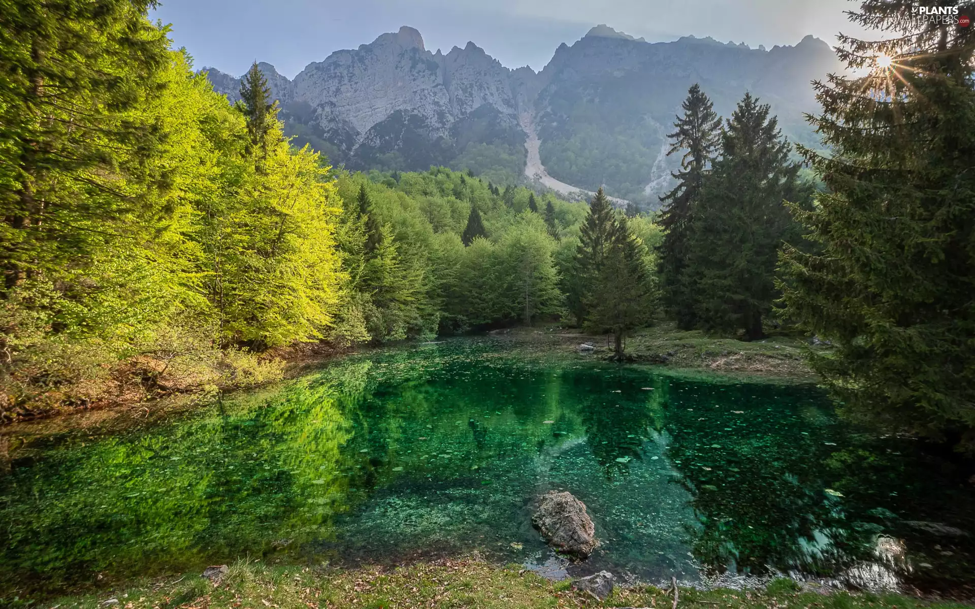 viewes, Mountains, Stone, Pond - car, coast, Fog, sun, trees, forest, rays, reflection