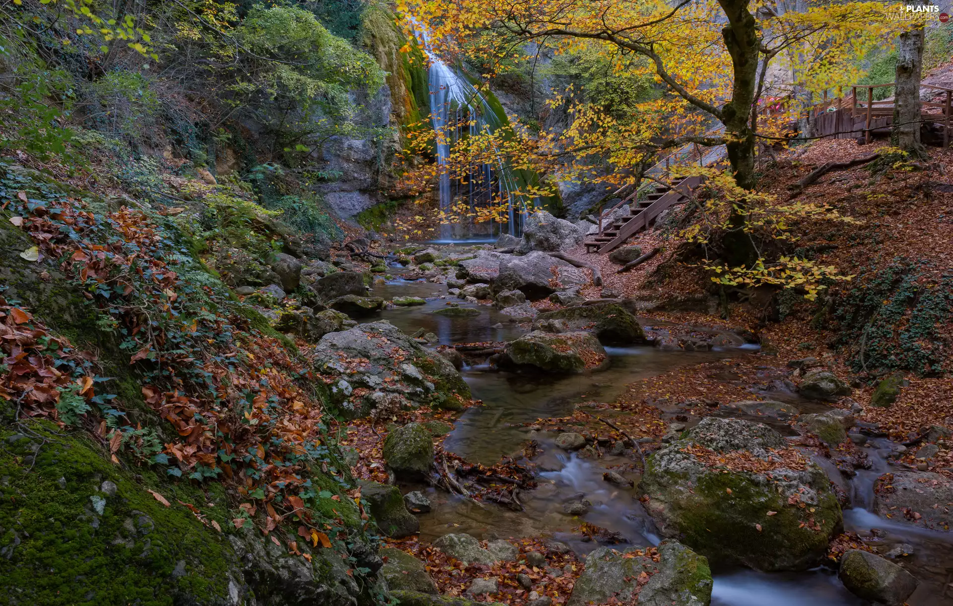 forest, autumn, trees, viewes, Mossy, Rocks, Stones, River, waterfall