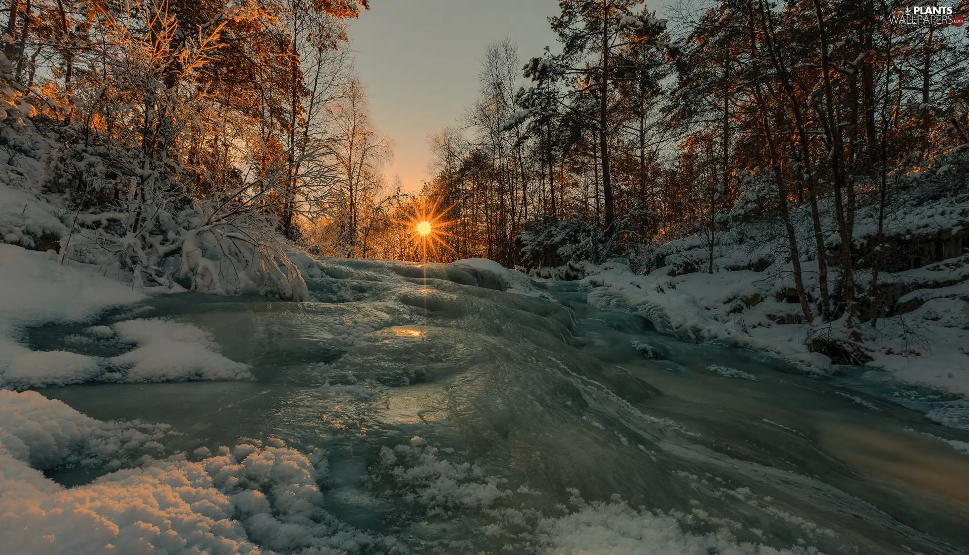 forest, winter, viewes, rays of the Sun, trees, River