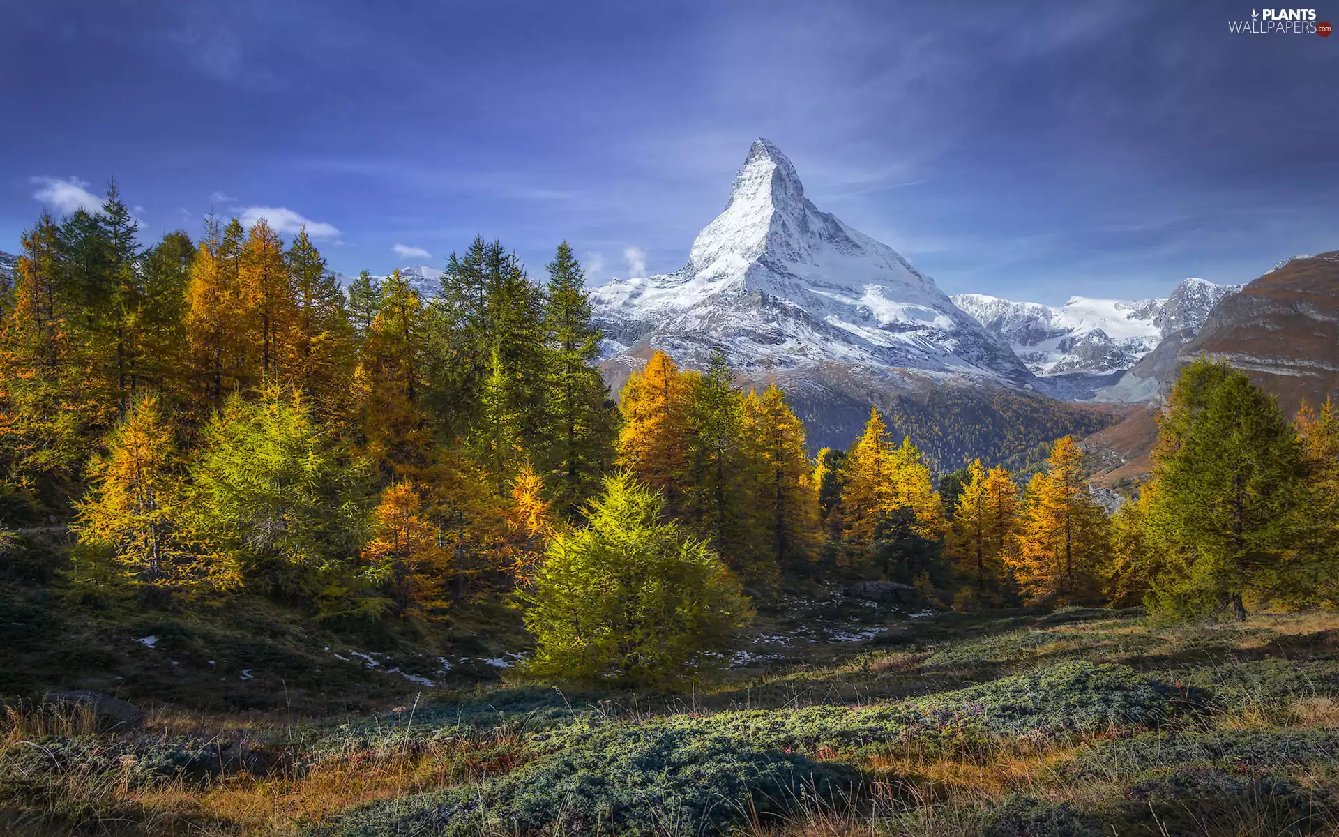 Matterhorn, trees, Switzerland, viewes, autumn, Alps, Mountains, forest