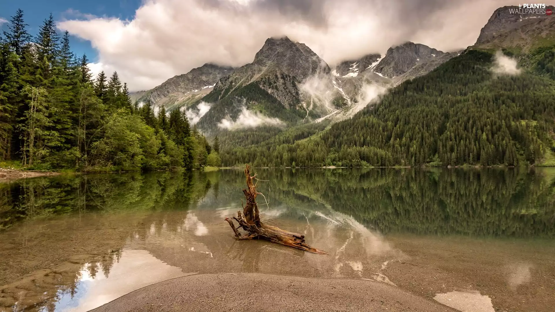 forest, lake, viewes, Lod on the beach, Mountains, trees, clouds