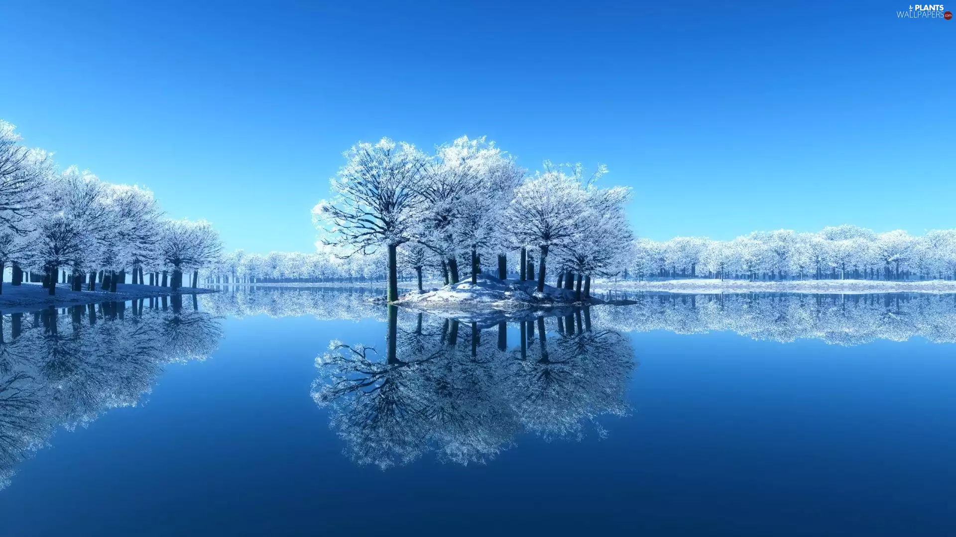 reflection, forest, trees, lake, winter