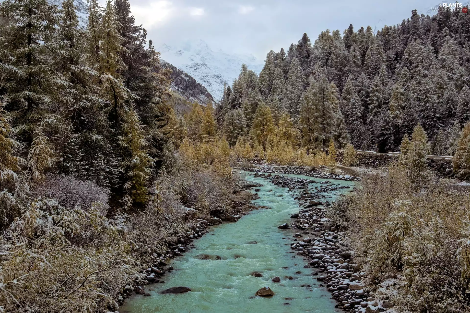 forest, flux, White frost, River, Fog, viewes, trees, Mountains