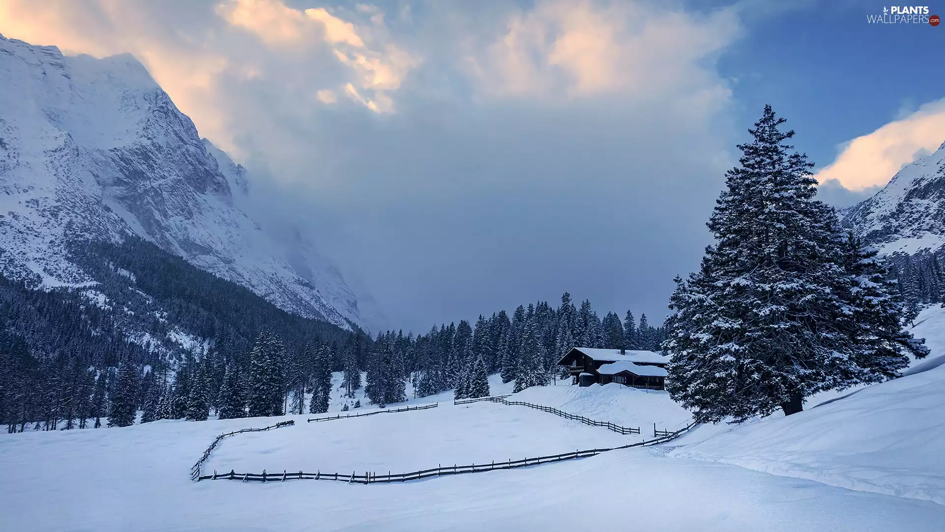 house, Mountains, viewes, forest, winter, trees, clouds