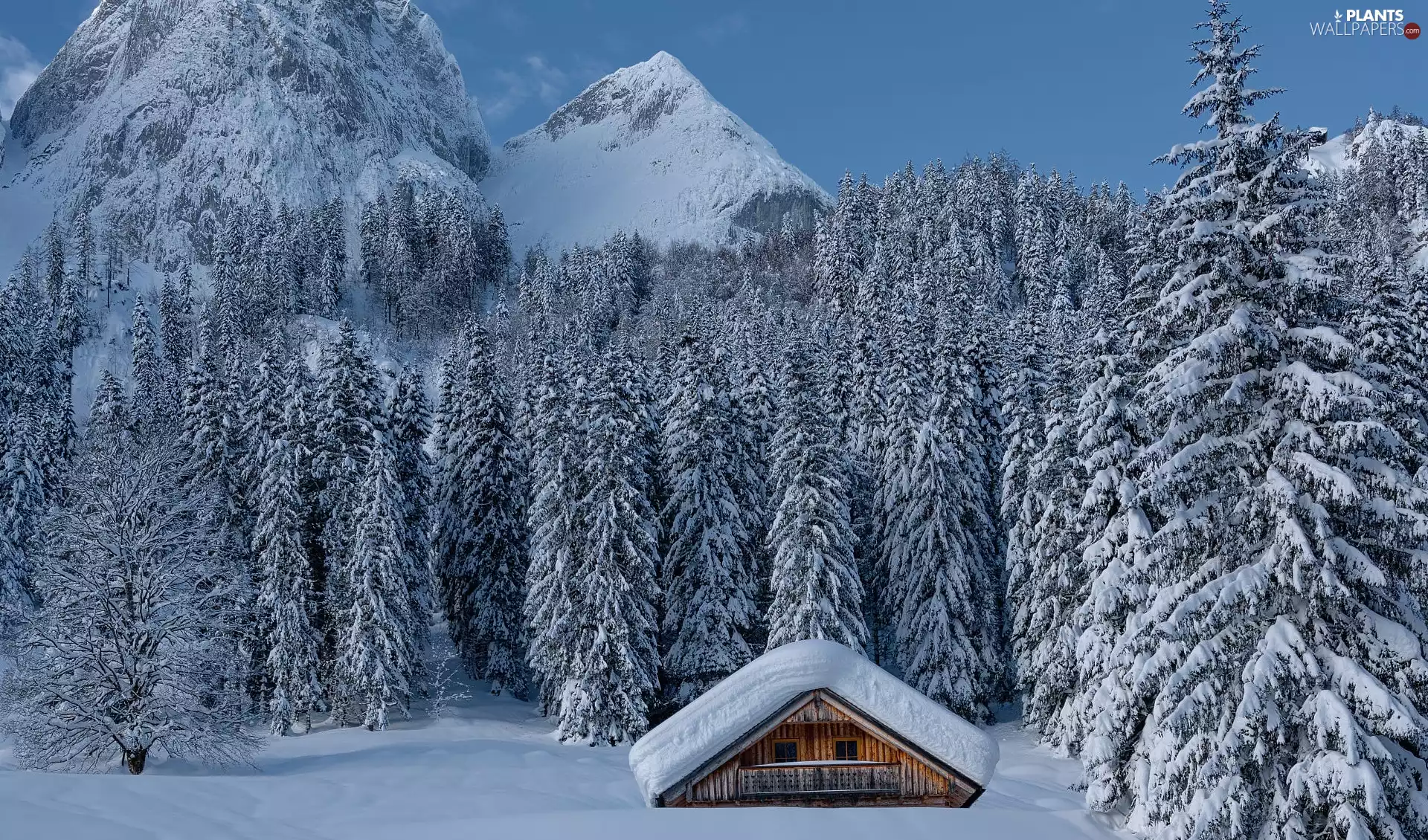 Snowy, Mountains, viewes, forest, winter, trees, house